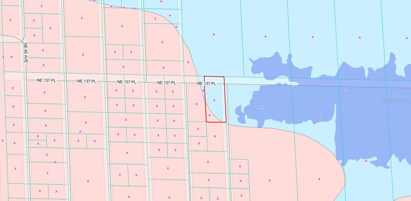 TBD NE 137TH PL, CITRA, FL, 32113