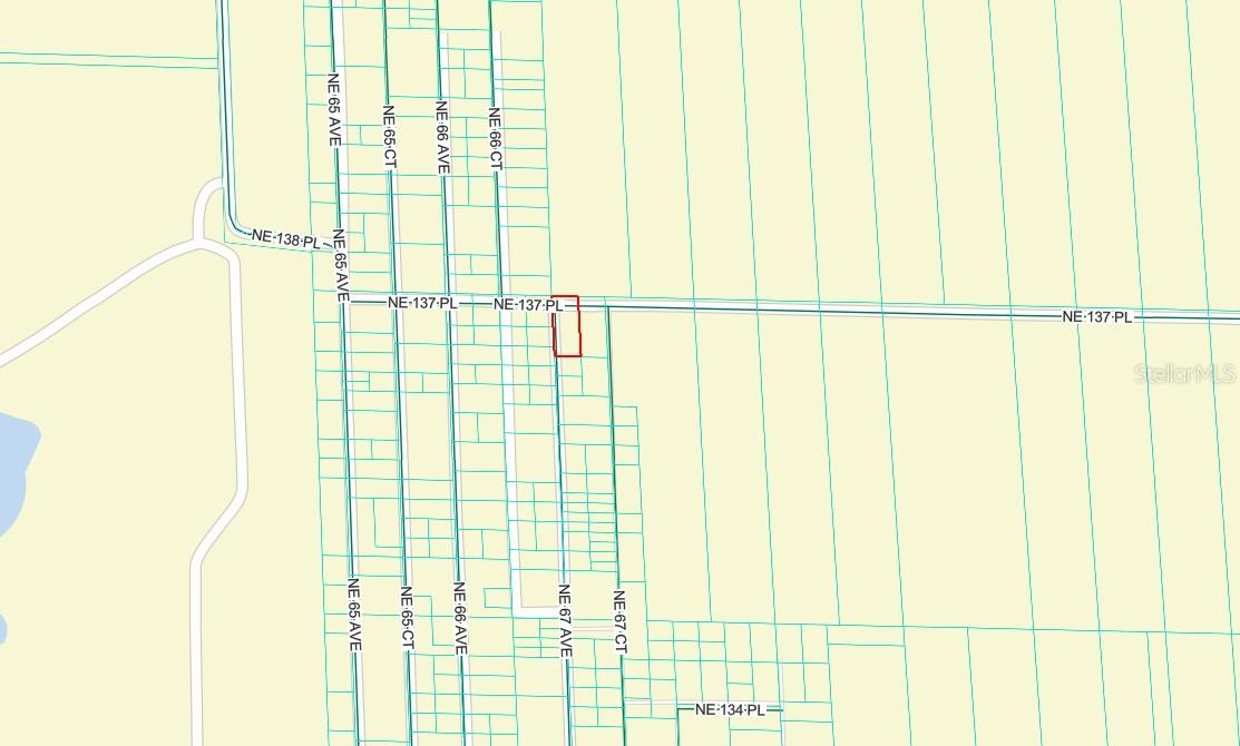 TBD NE 137TH PL, CITRA, FL, 32113