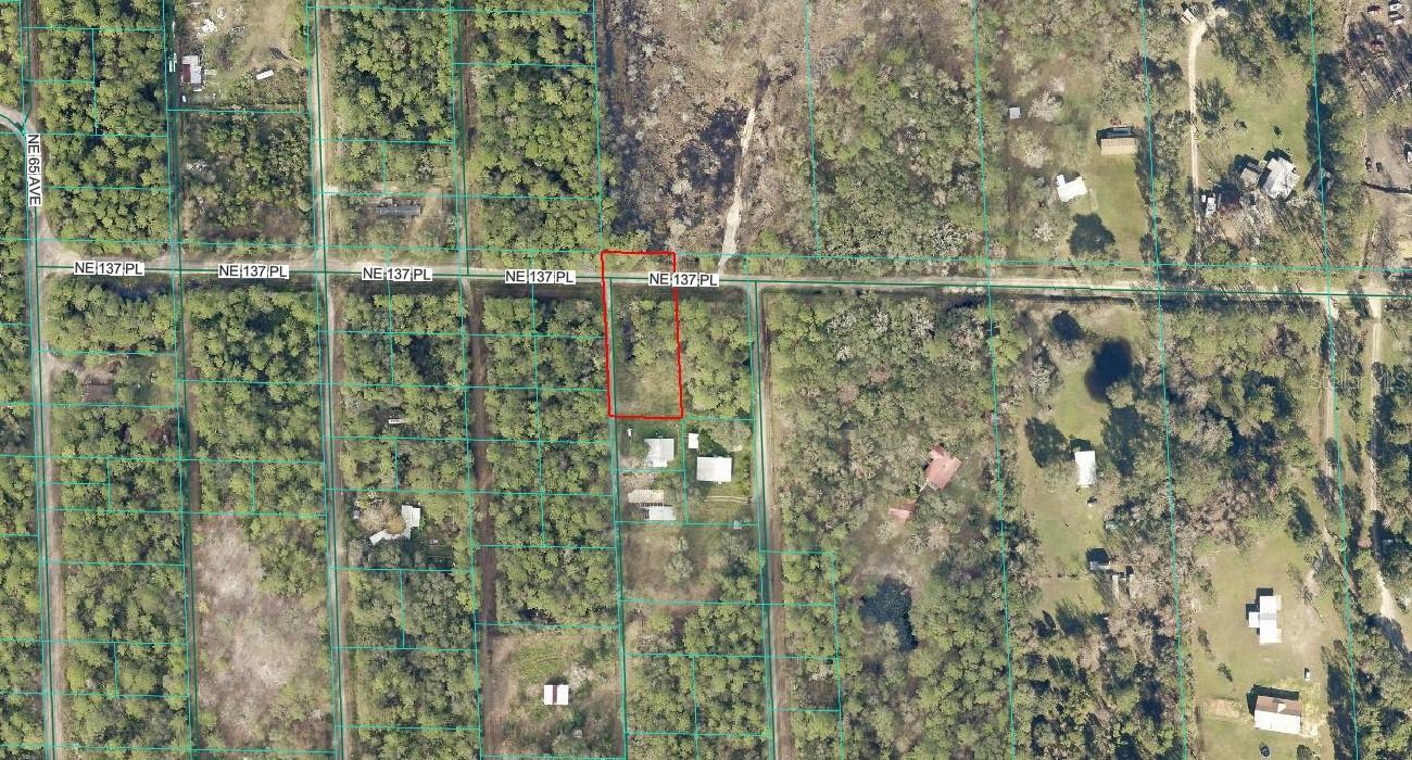 TBD NE 137TH PL, CITRA, FL, 32113