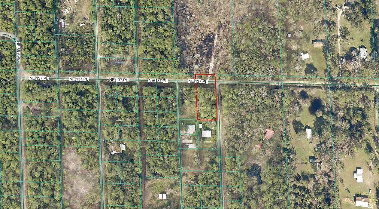 TBD NE 137TH PL, CITRA, FL, 32113