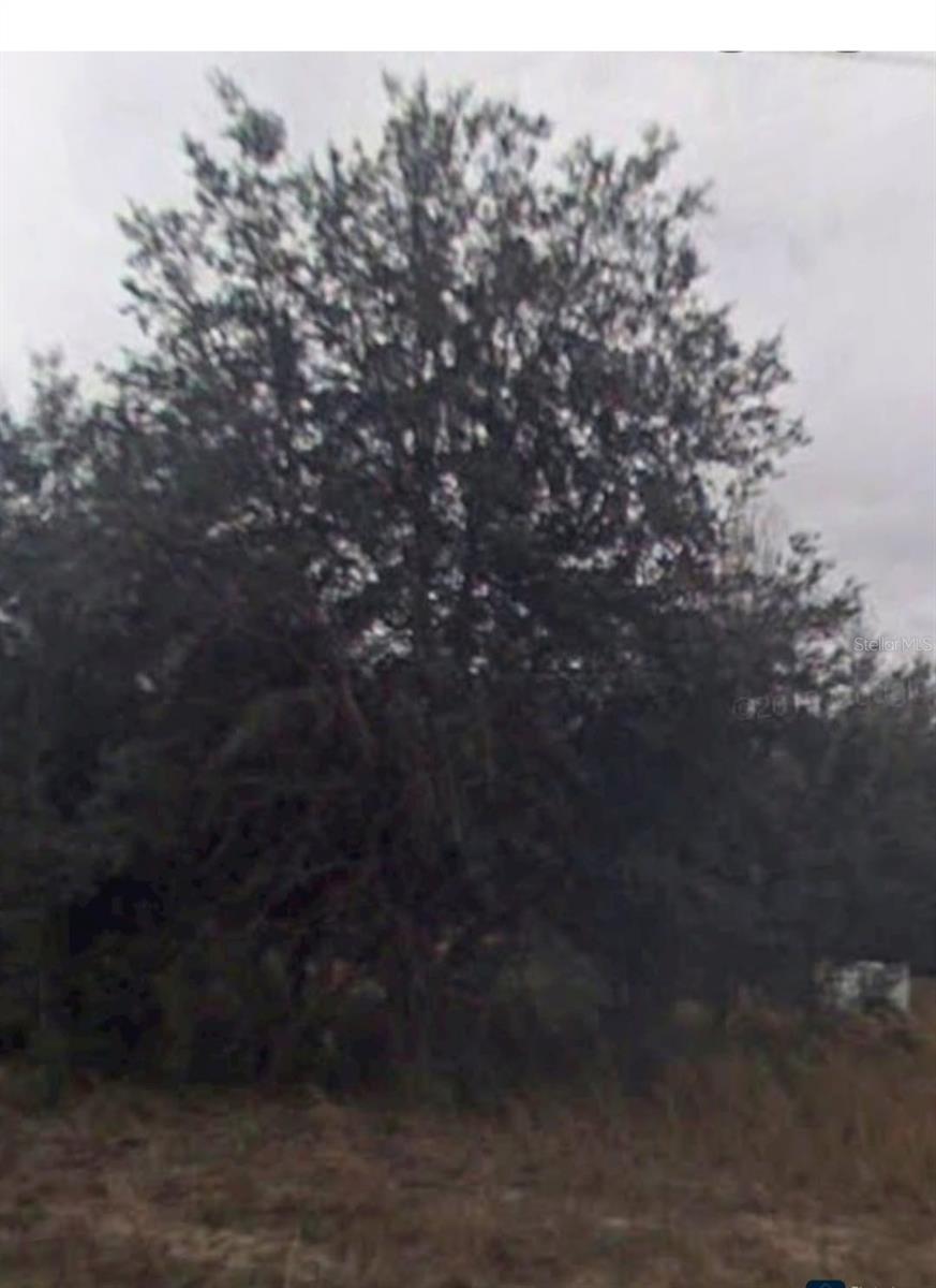 2109 BYRON ST, INVERNESS, FL, 34453