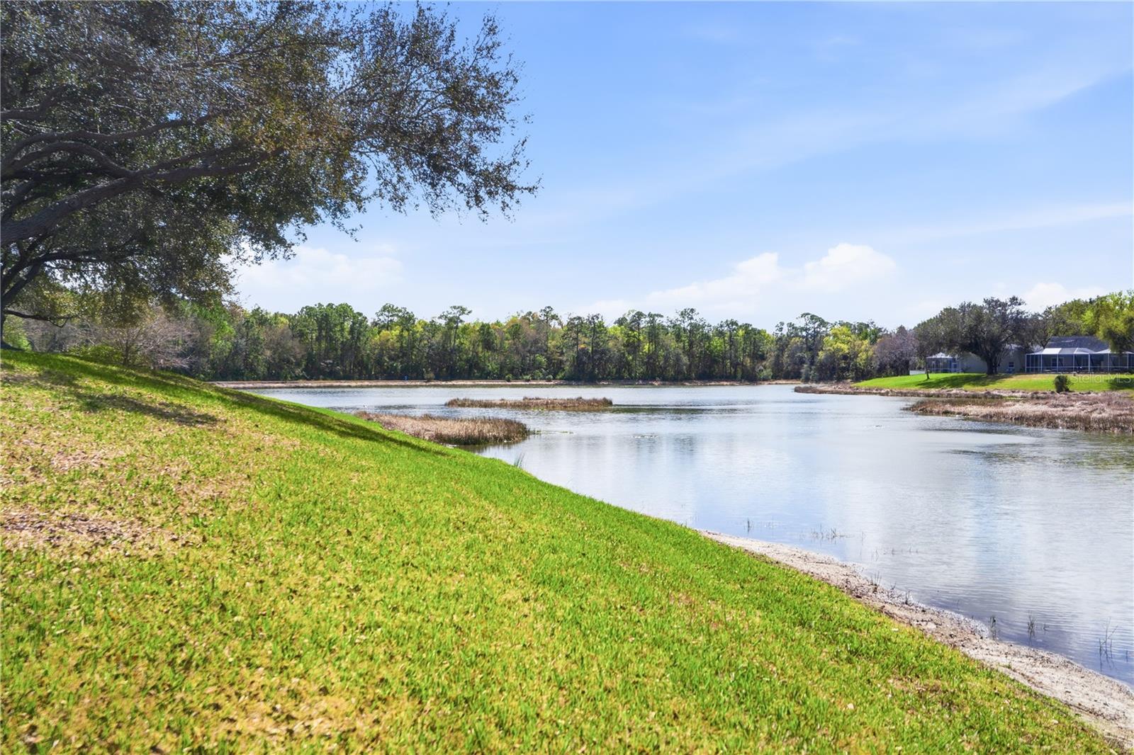 19112 WHITE WING PL, TAMPA, FL, 33647