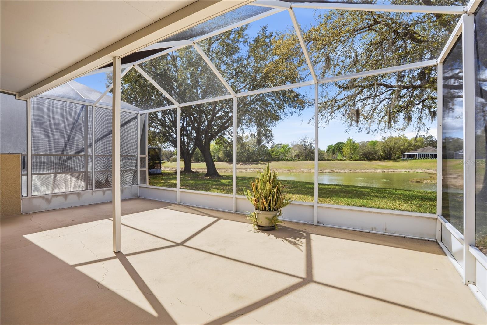 19112 WHITE WING PL, TAMPA, FL, 33647
