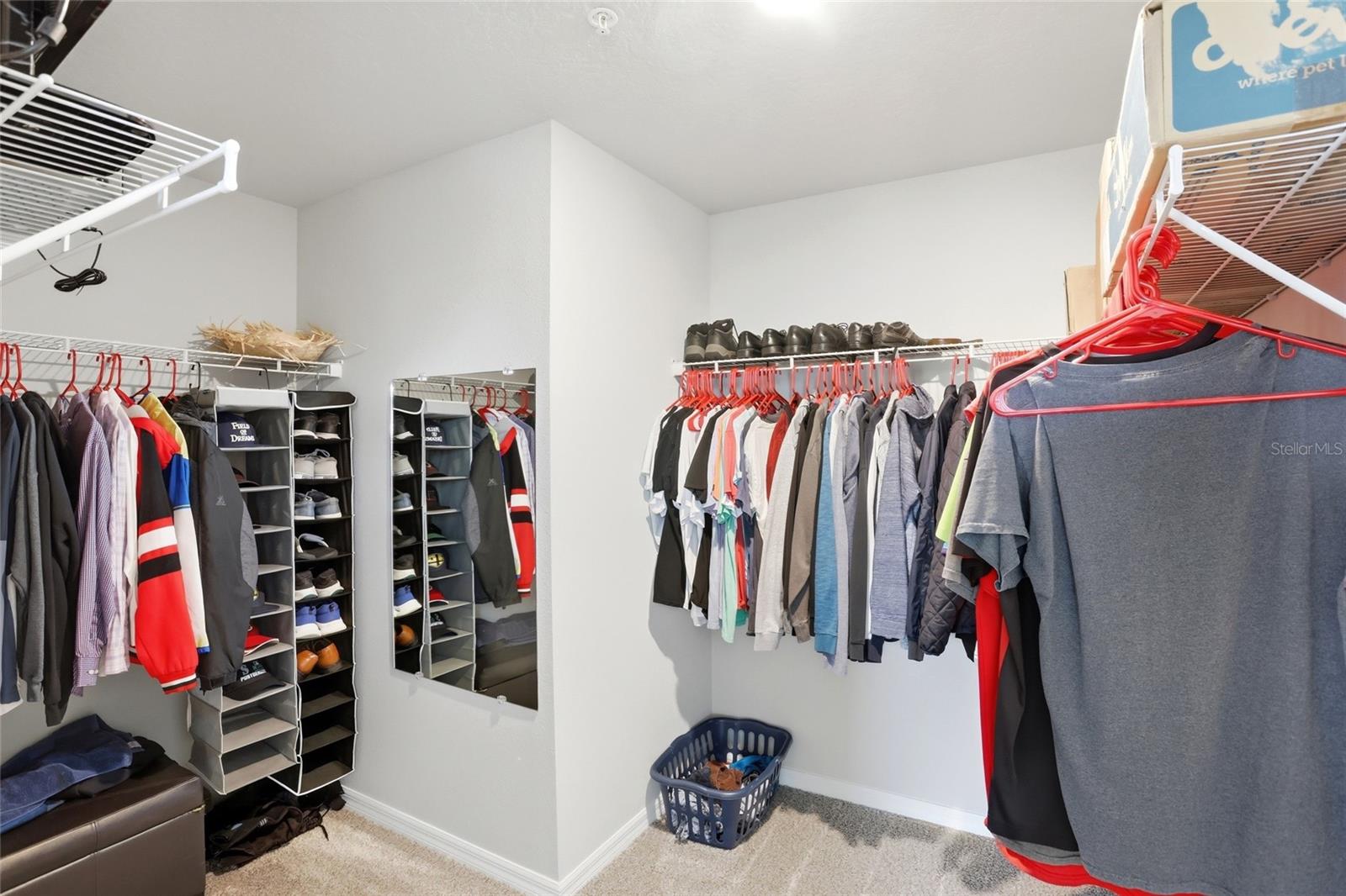 1123 DESERT CANDLE DR, OCOEE, FL, 34761