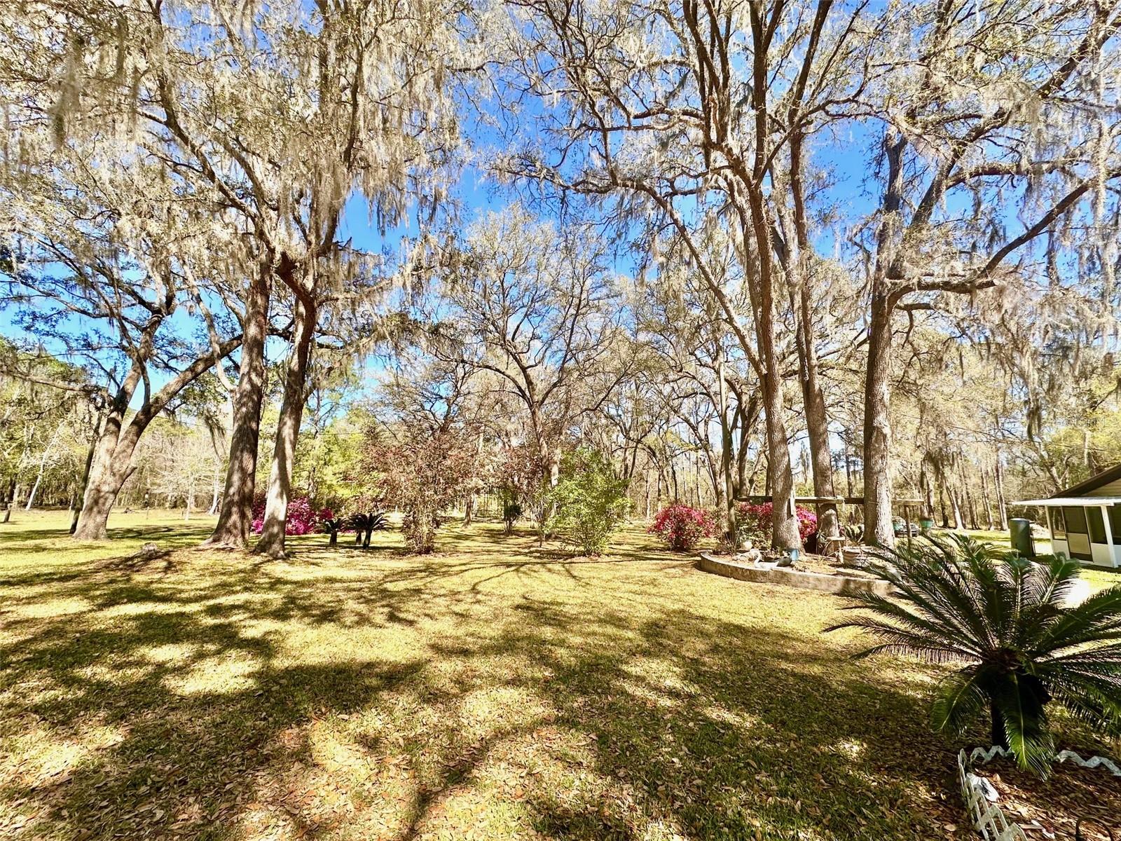 4220 NW 235TH AVE, ALACHUA, FL, 32615