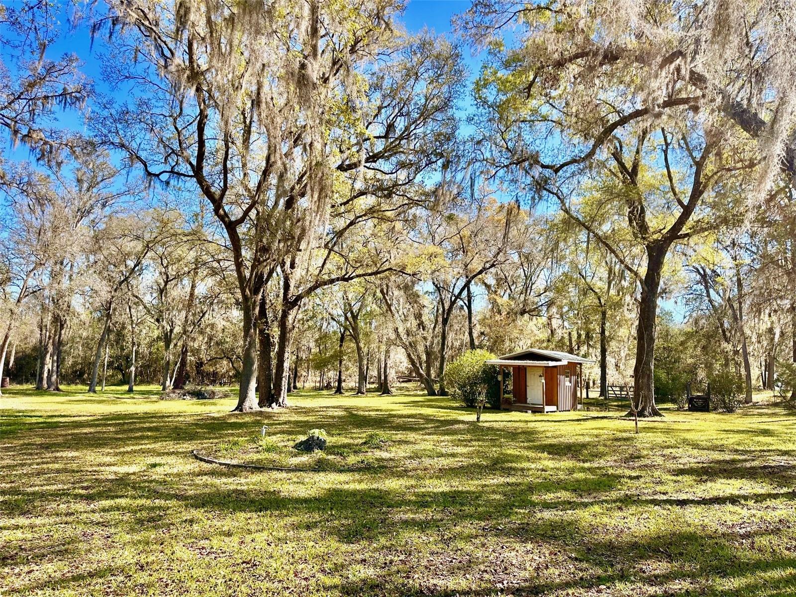 4220 NW 235TH AVE, ALACHUA, FL, 32615