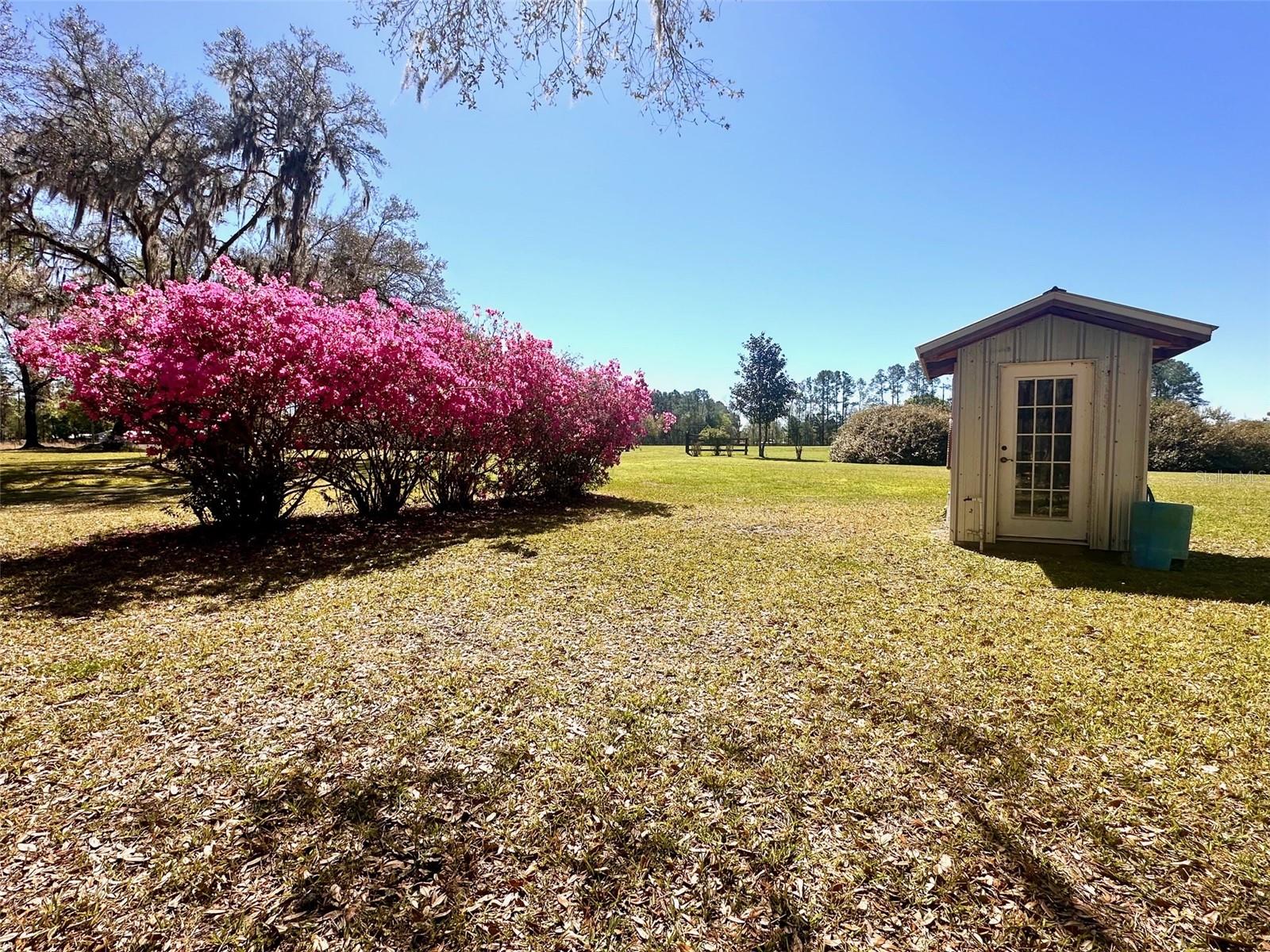 4220 NW 235TH AVE, ALACHUA, FL, 32615