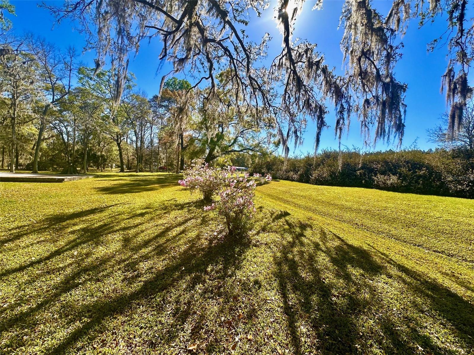 4220 NW 235TH AVE, ALACHUA, FL, 32615