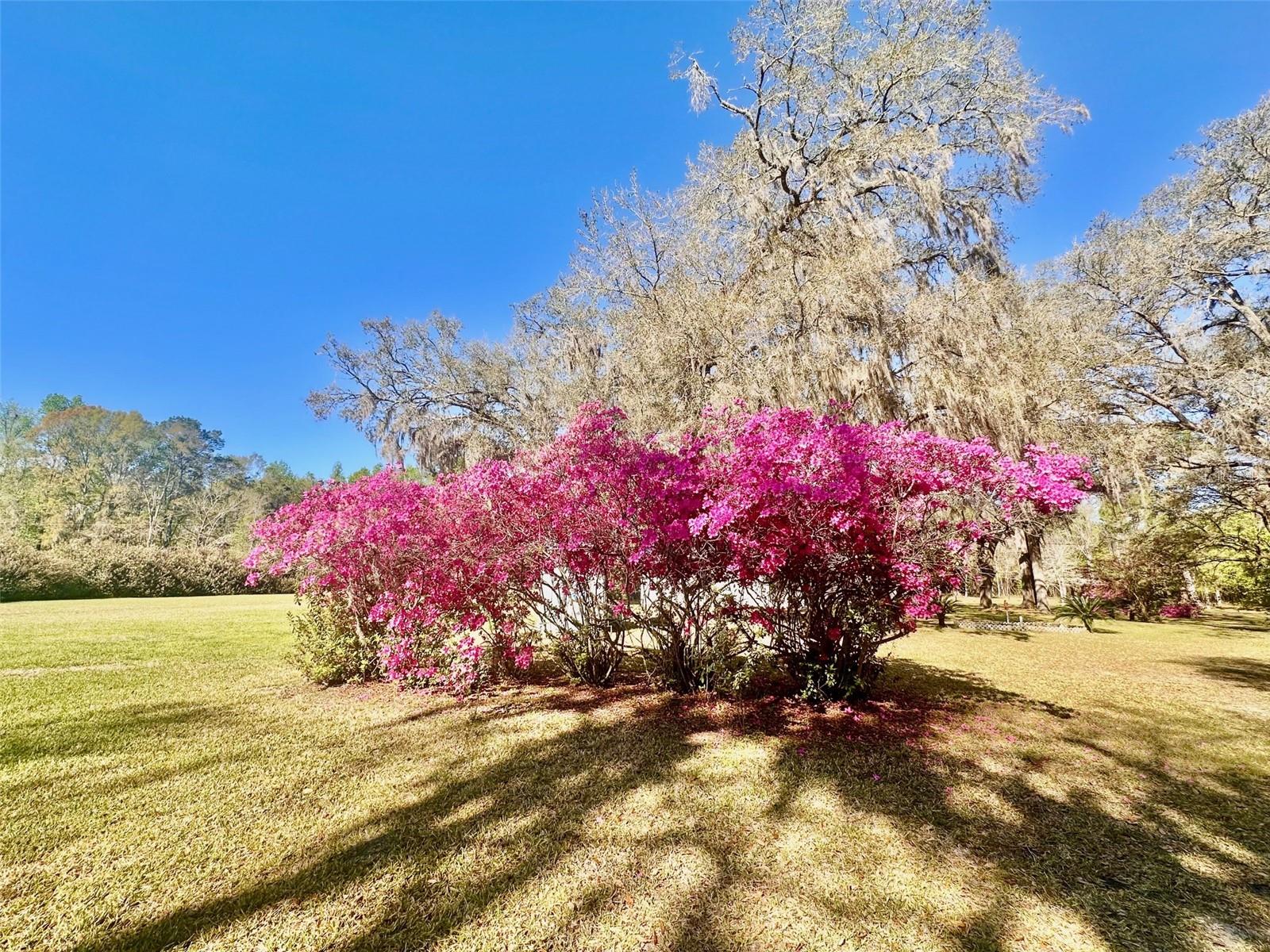 4220 NW 235TH AVE, ALACHUA, FL, 32615