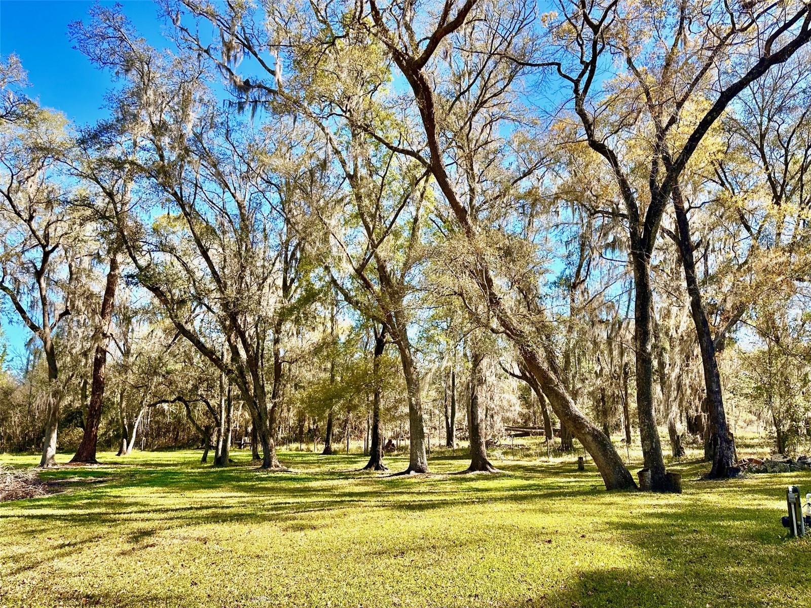 4220 NW 235TH AVE, ALACHUA, FL, 32615