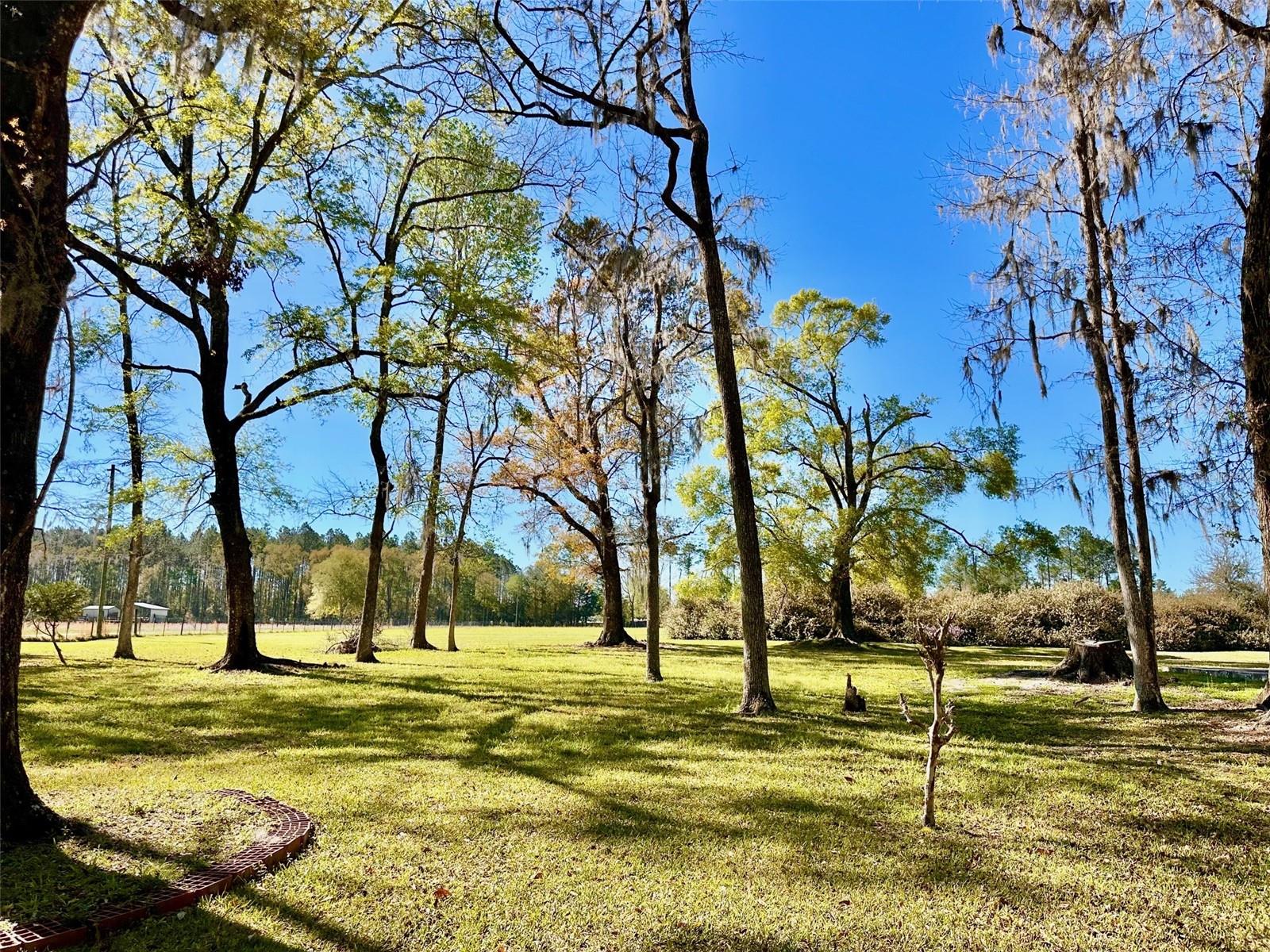 4220 NW 235TH AVE, ALACHUA, FL, 32615