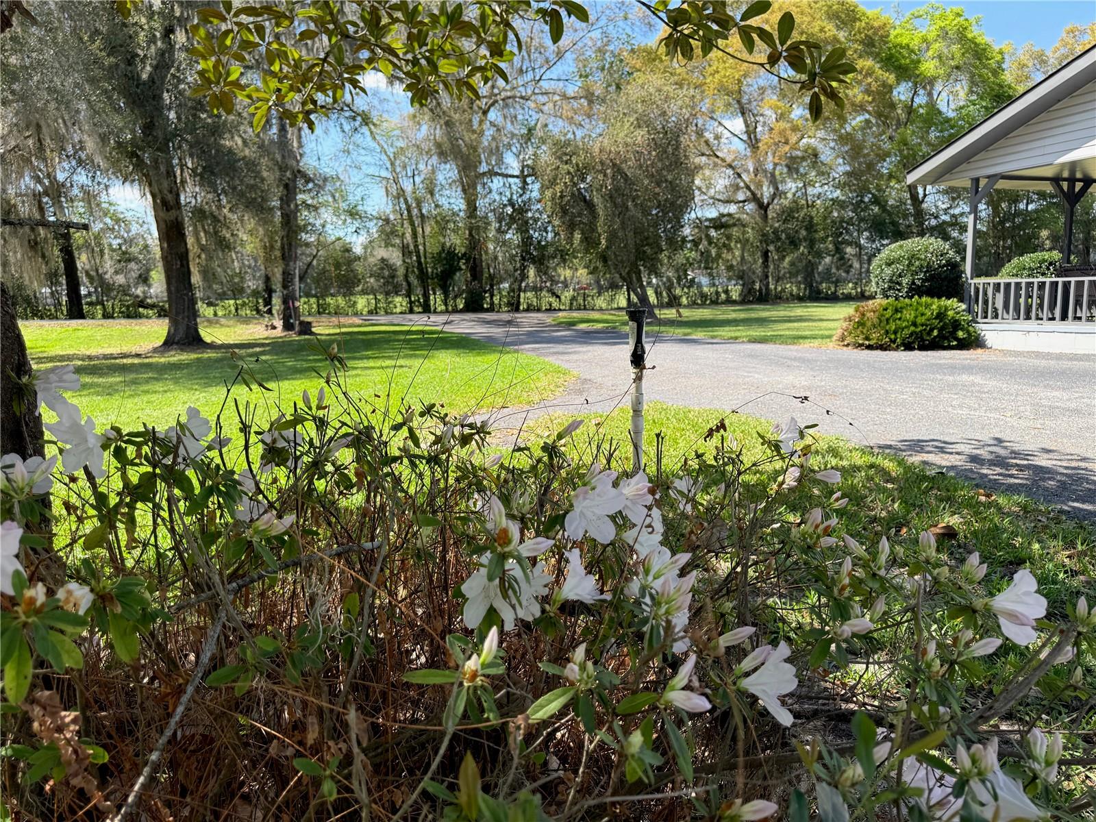 4701 NE 7TH AVE, OCALA, FL, 34479