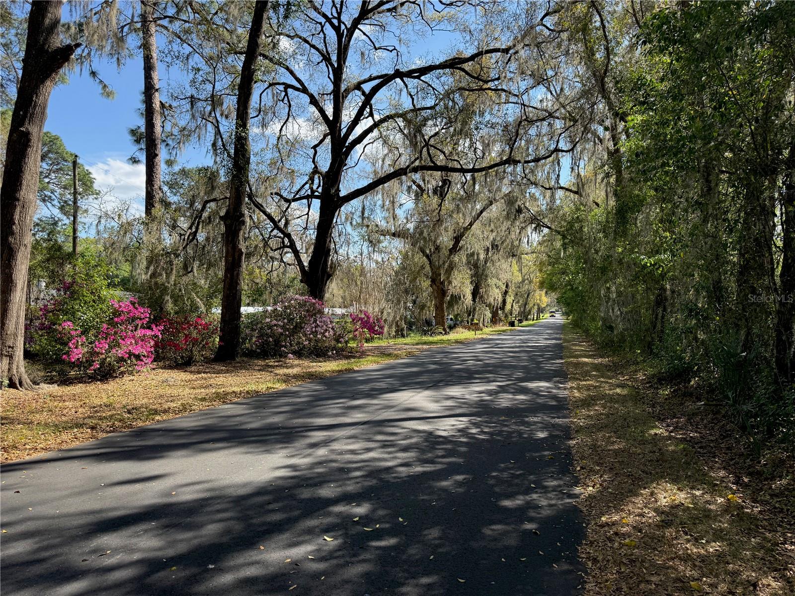 4701 NE 7TH AVE, OCALA, FL, 34479