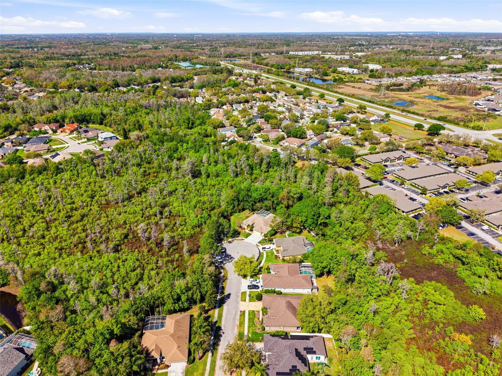 8817 WAVYEDGE CT, TRINITY, FL, 34655