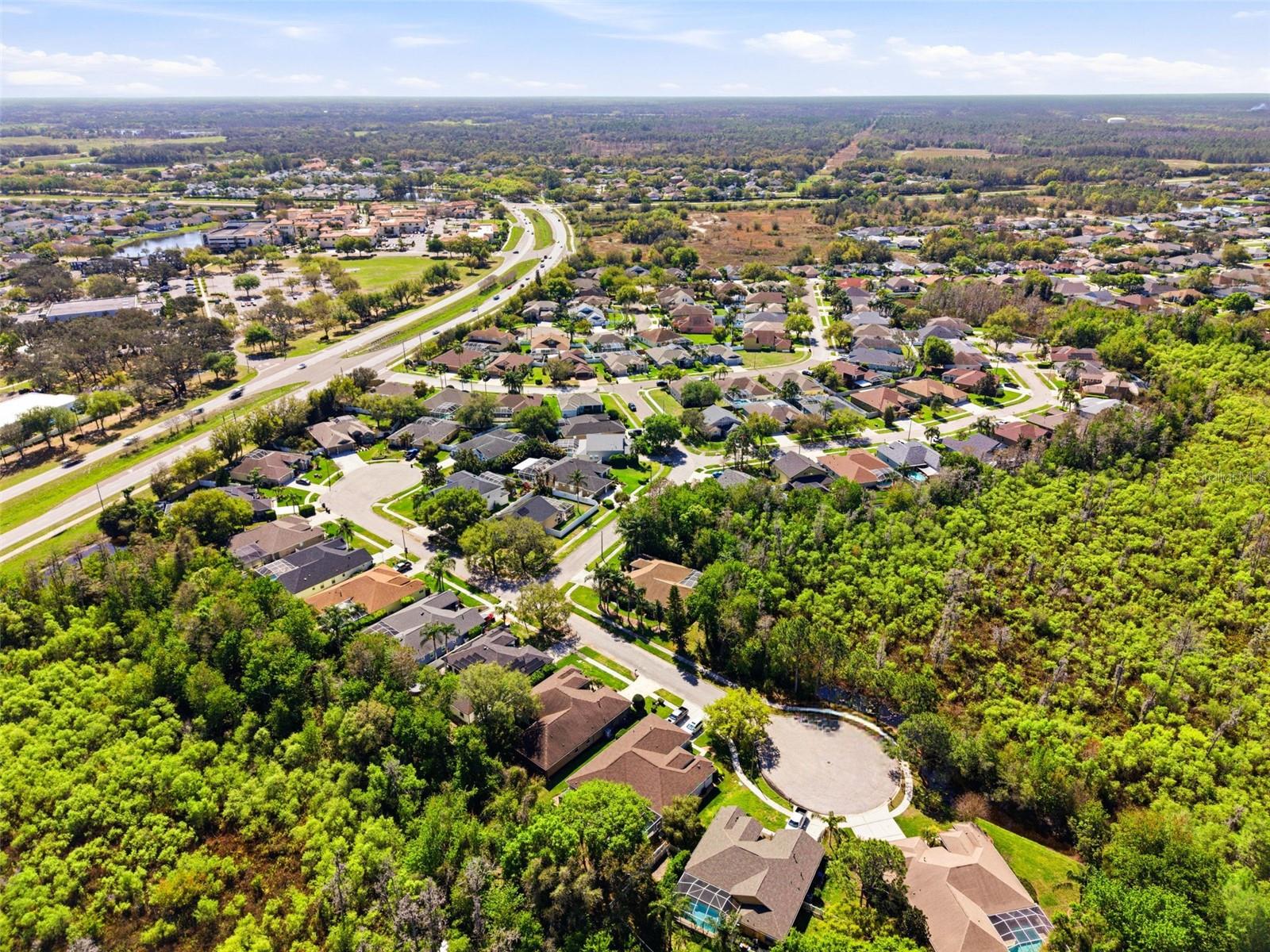 8817 WAVYEDGE CT, TRINITY, FL, 34655