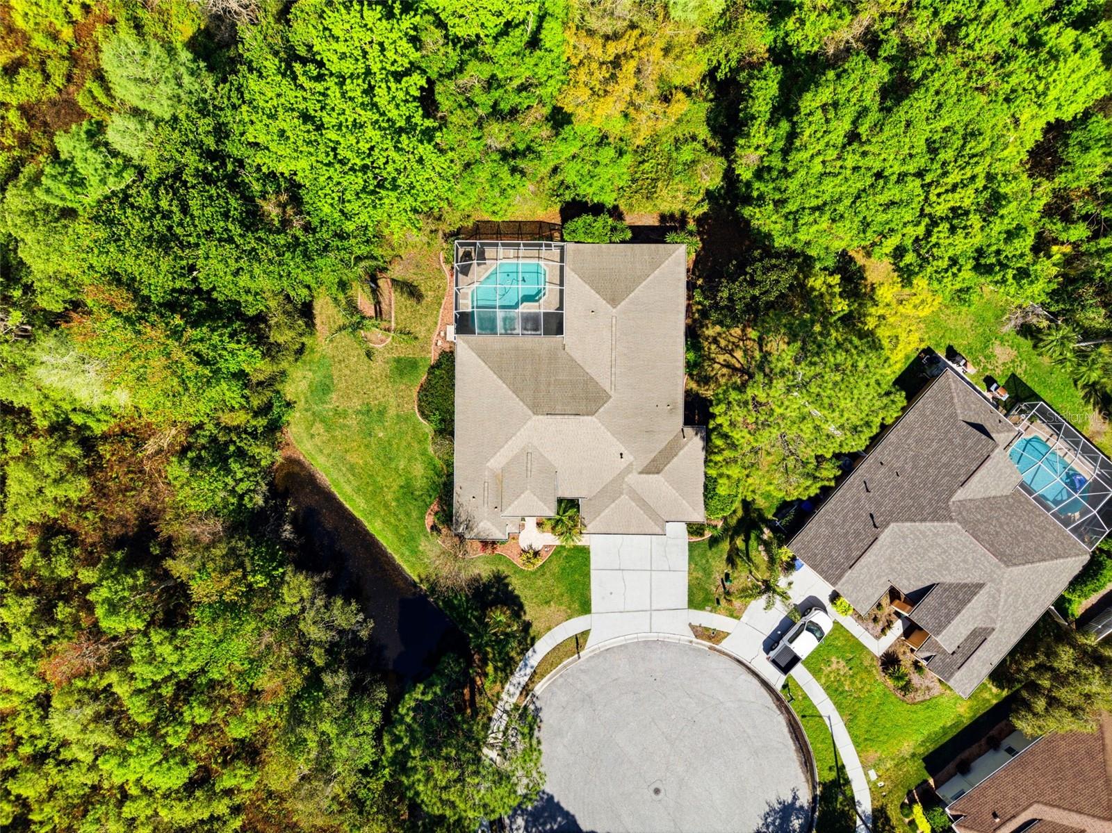 8817 WAVYEDGE CT, TRINITY, FL, 34655