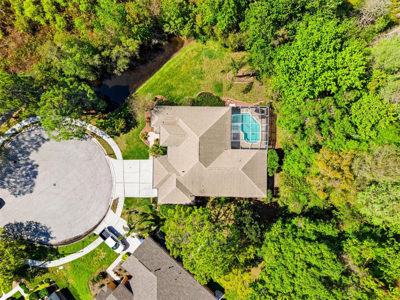 8817 WAVYEDGE CT, TRINITY, FL, 34655