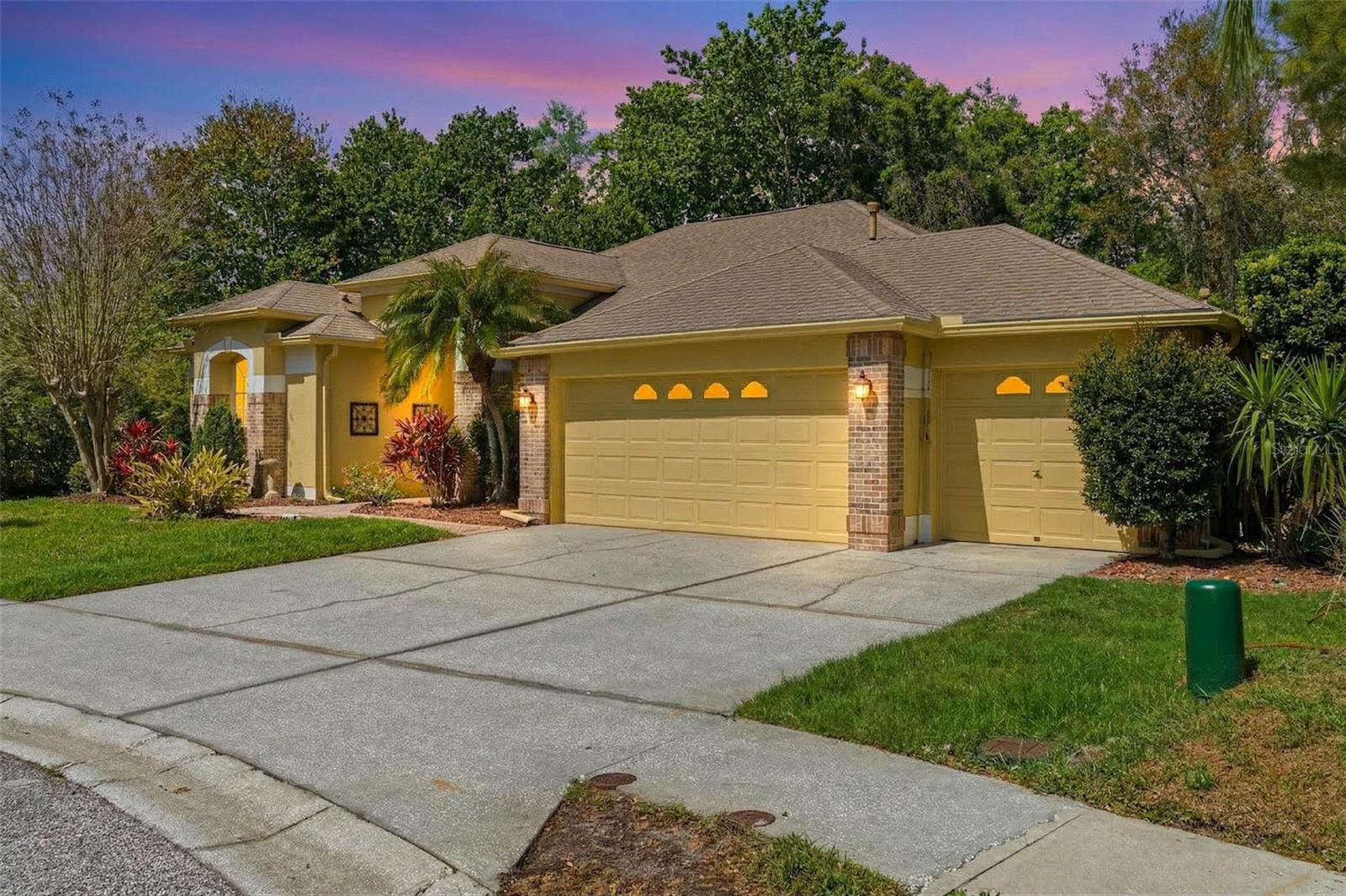 8817 WAVYEDGE CT, TRINITY, FL, 34655