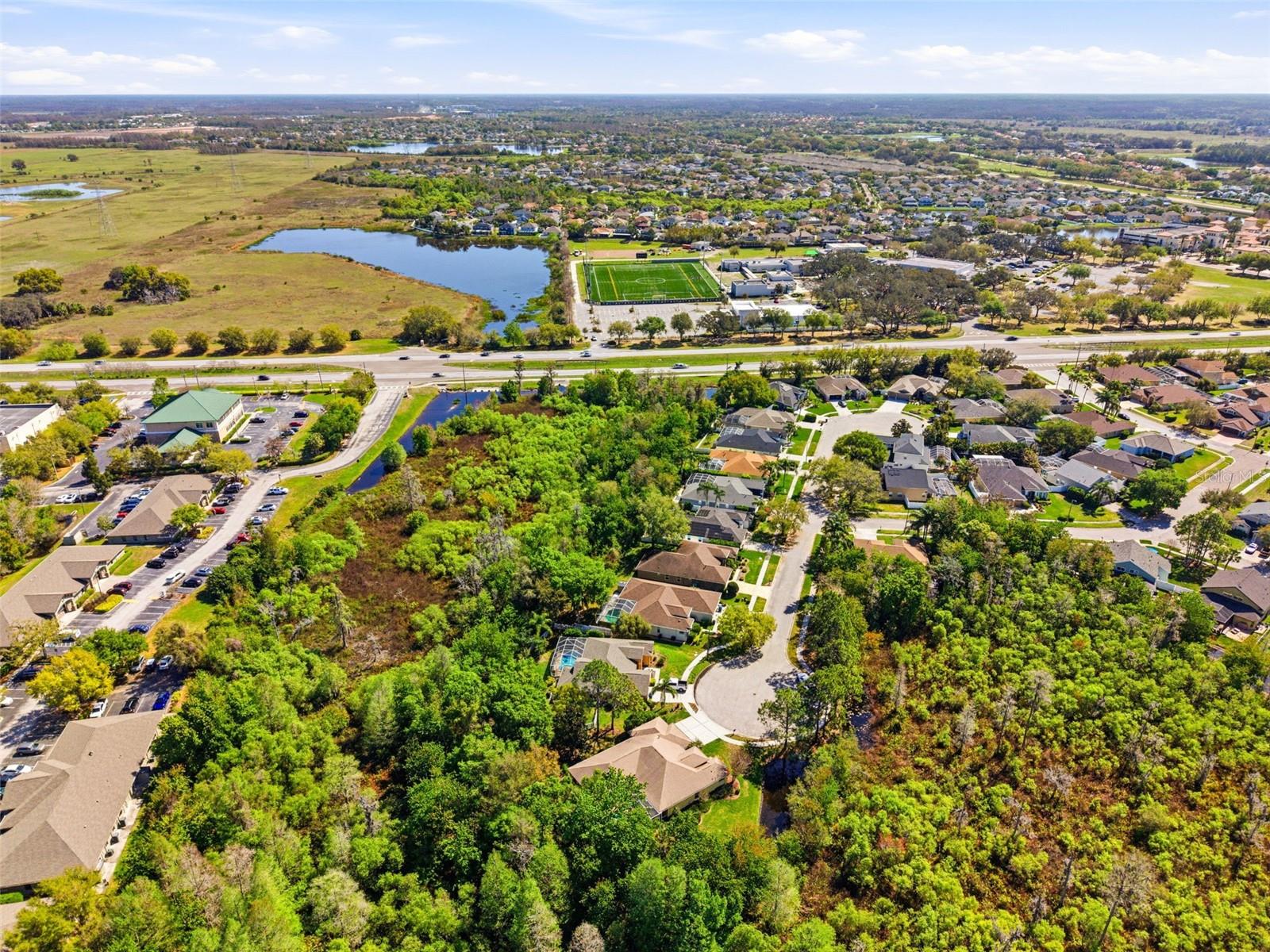 8817 WAVYEDGE CT, TRINITY, FL, 34655