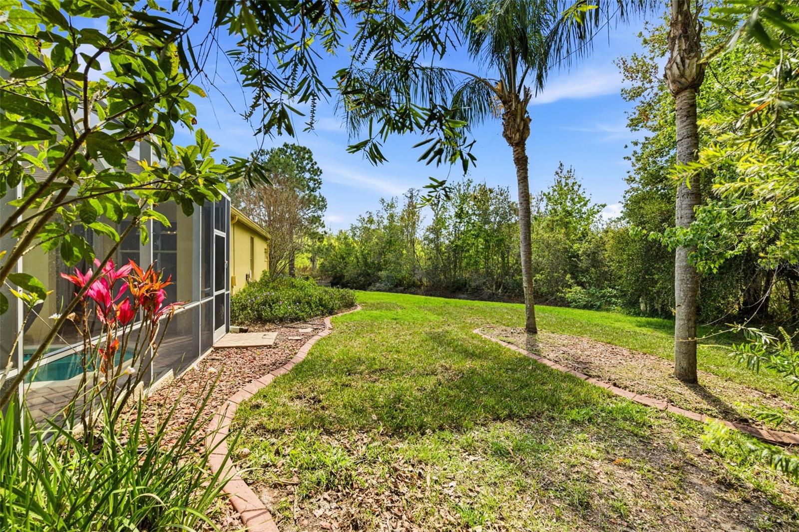 8817 WAVYEDGE CT, TRINITY, FL, 34655