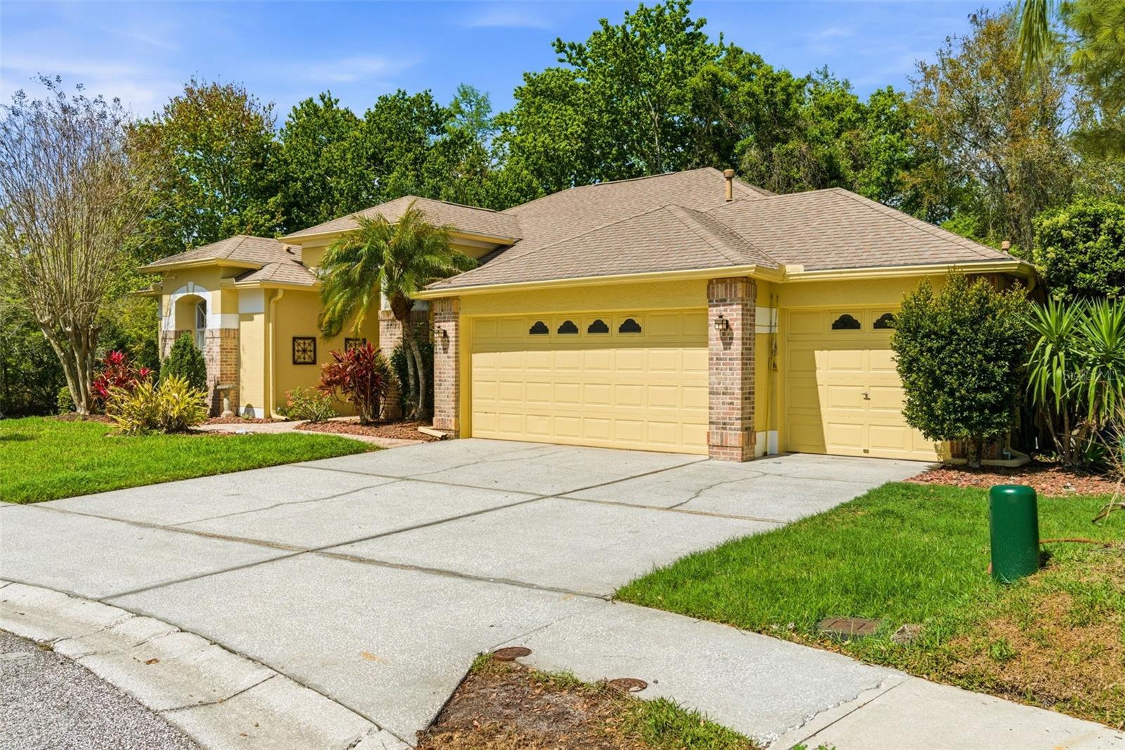 8817 WAVYEDGE CT, TRINITY, FL, 34655