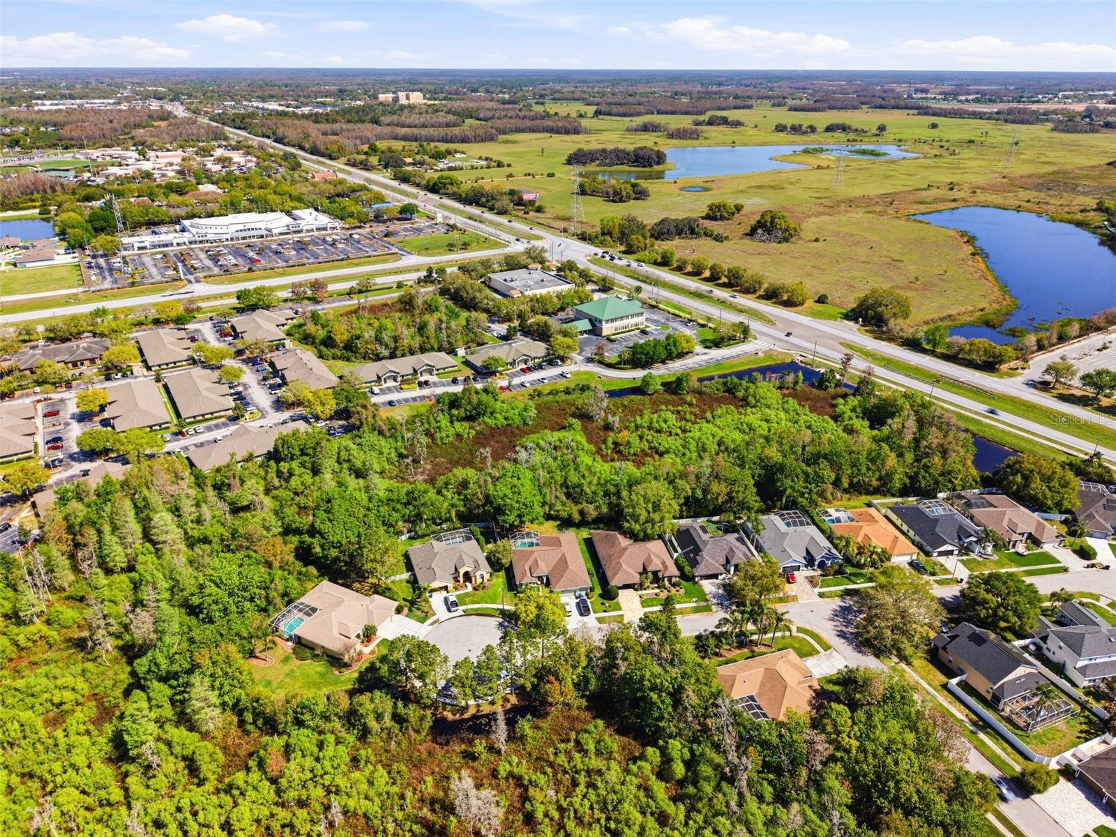 8817 WAVYEDGE CT, TRINITY, FL, 34655