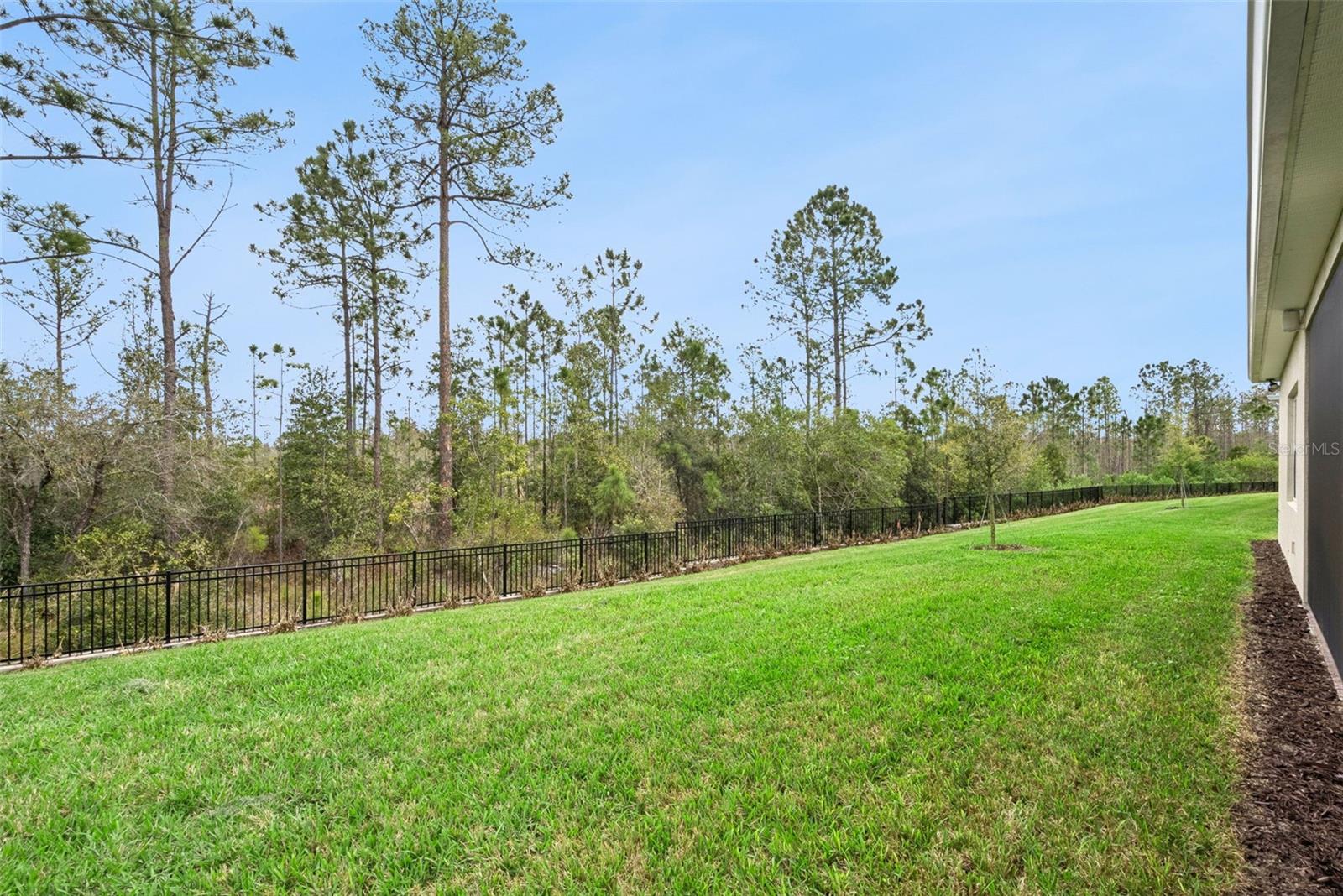 2555 PINE PRESERVE CT, ST CLOUD, FL, 34771