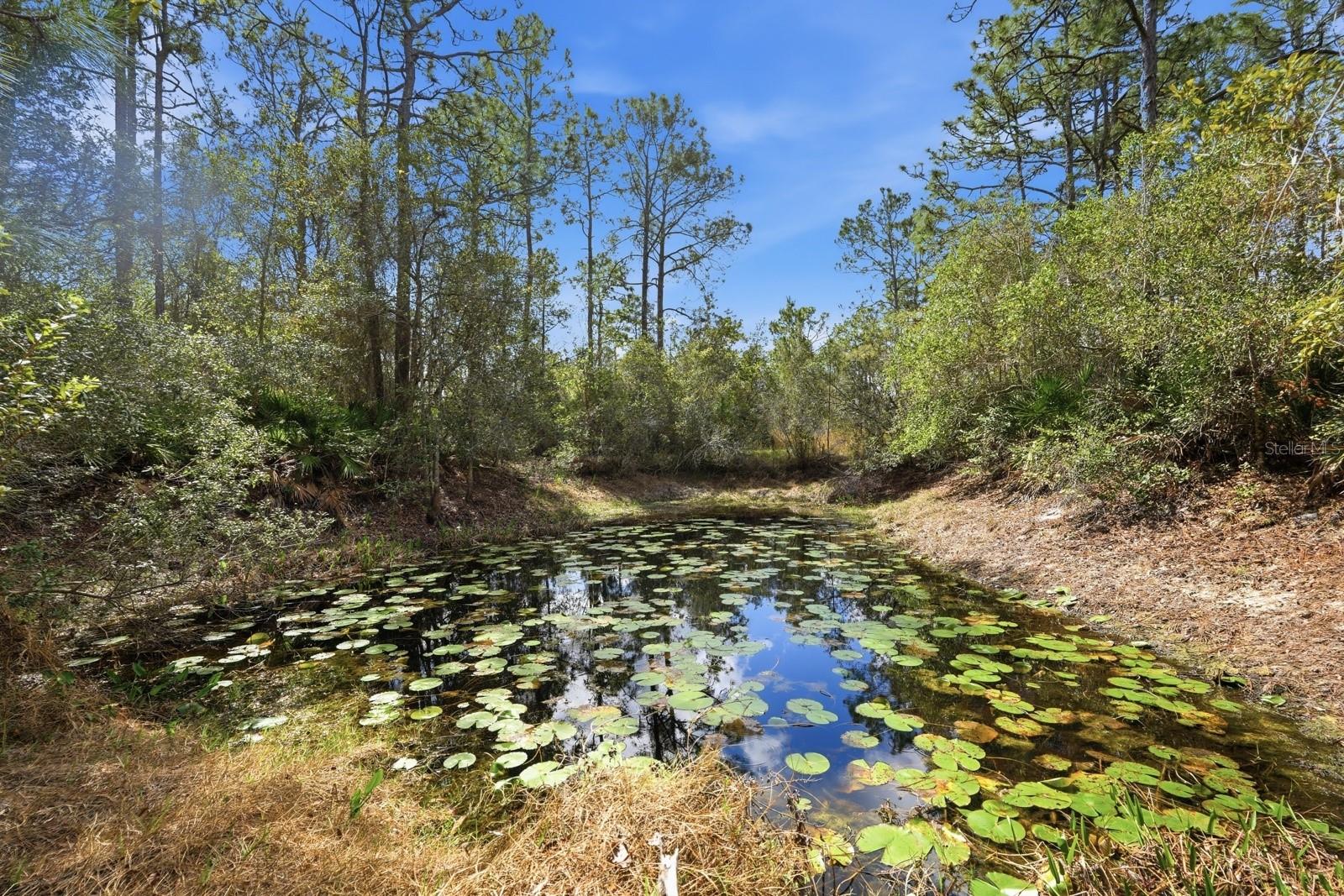 158 CONE RD, ORMOND BEACH, FL, 32174