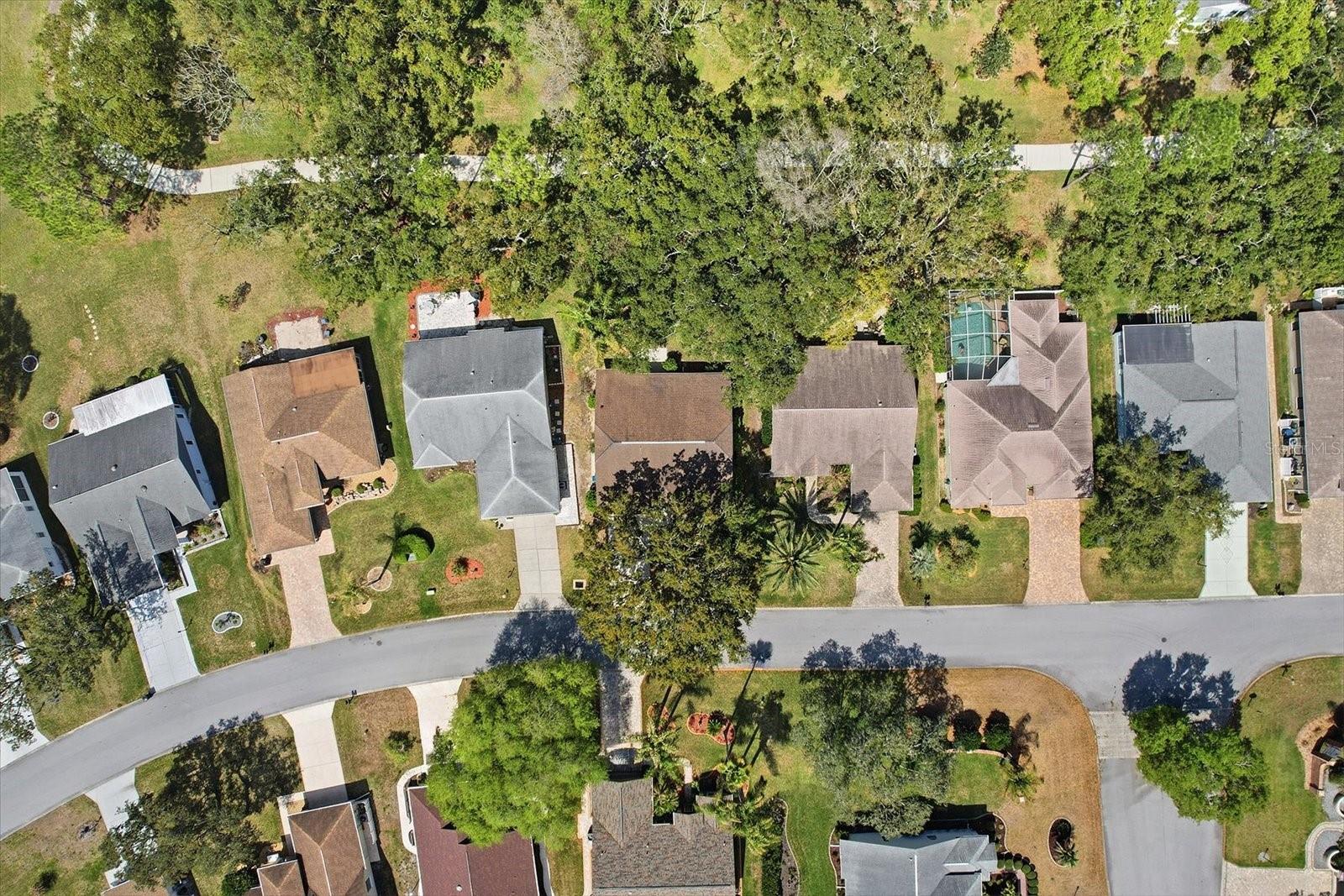 7361 ROSEMONT LN, SPRING HILL, FL, 34606