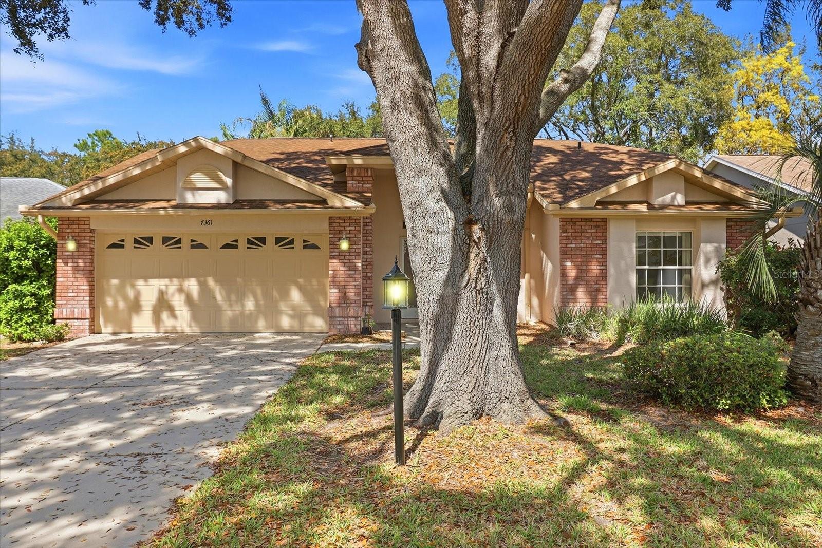 7361 ROSEMONT LN, SPRING HILL, FL, 34606