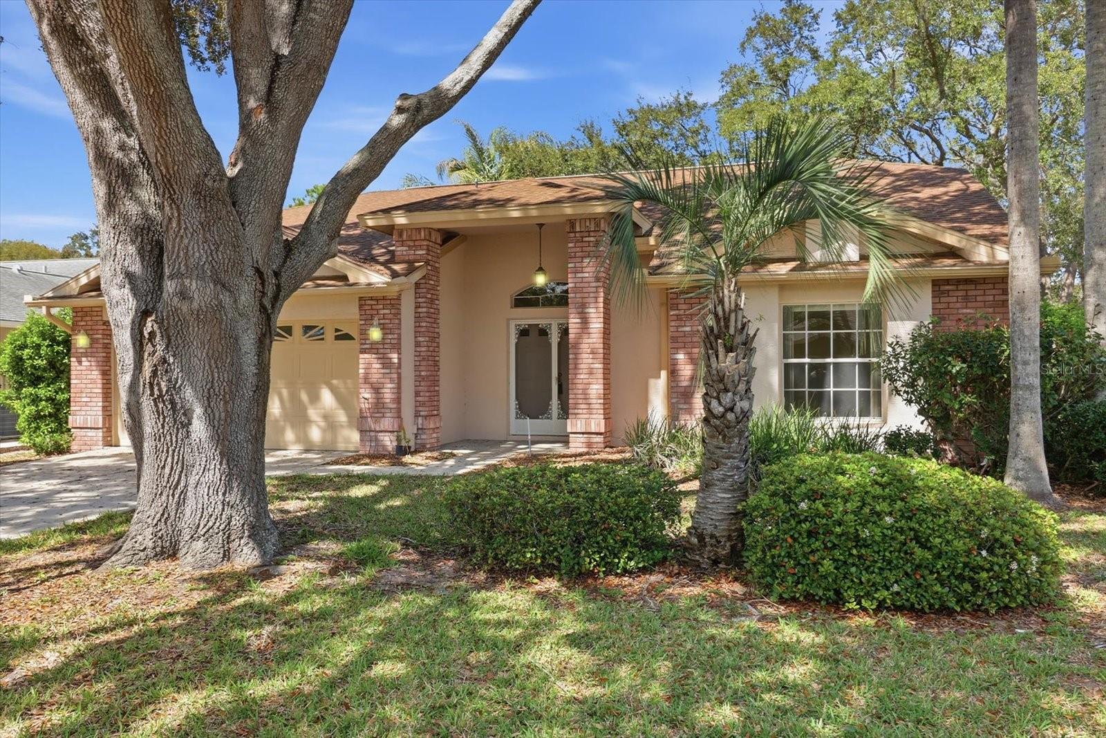 7361 ROSEMONT LN, SPRING HILL, FL, 34606
