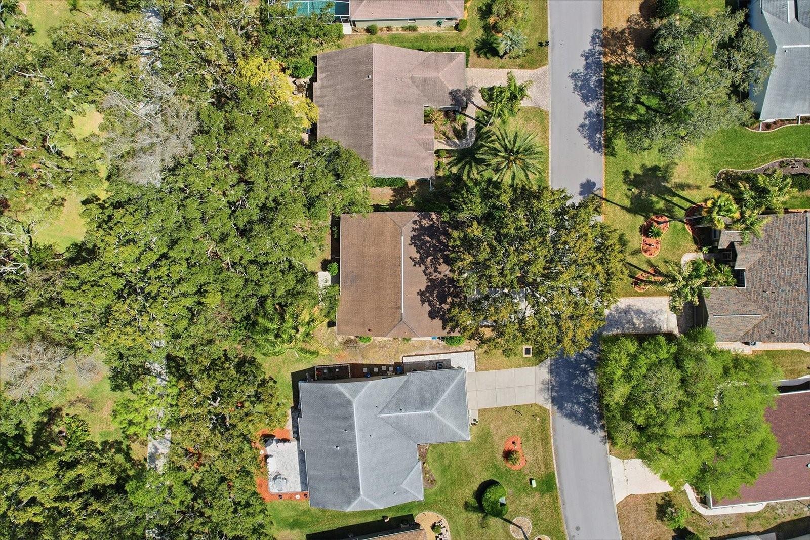 7361 ROSEMONT LN, SPRING HILL, FL, 34606