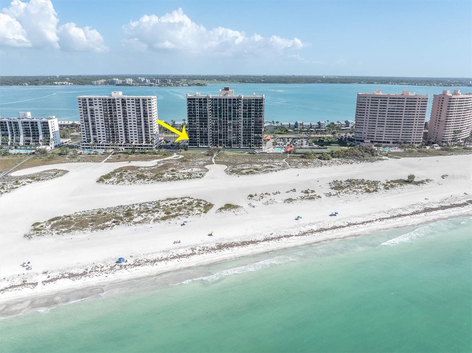1290 GULF BLVD #408, CLEARWATER BEACH, FL, 33767