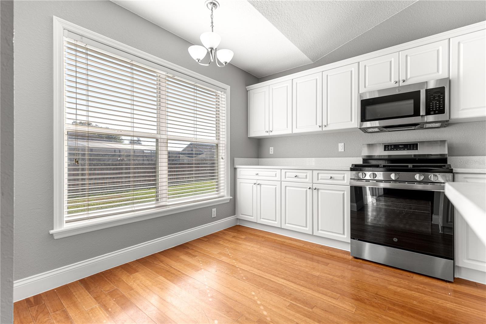 10485 SE 42ND CT, BELLEVIEW, FL, 34420