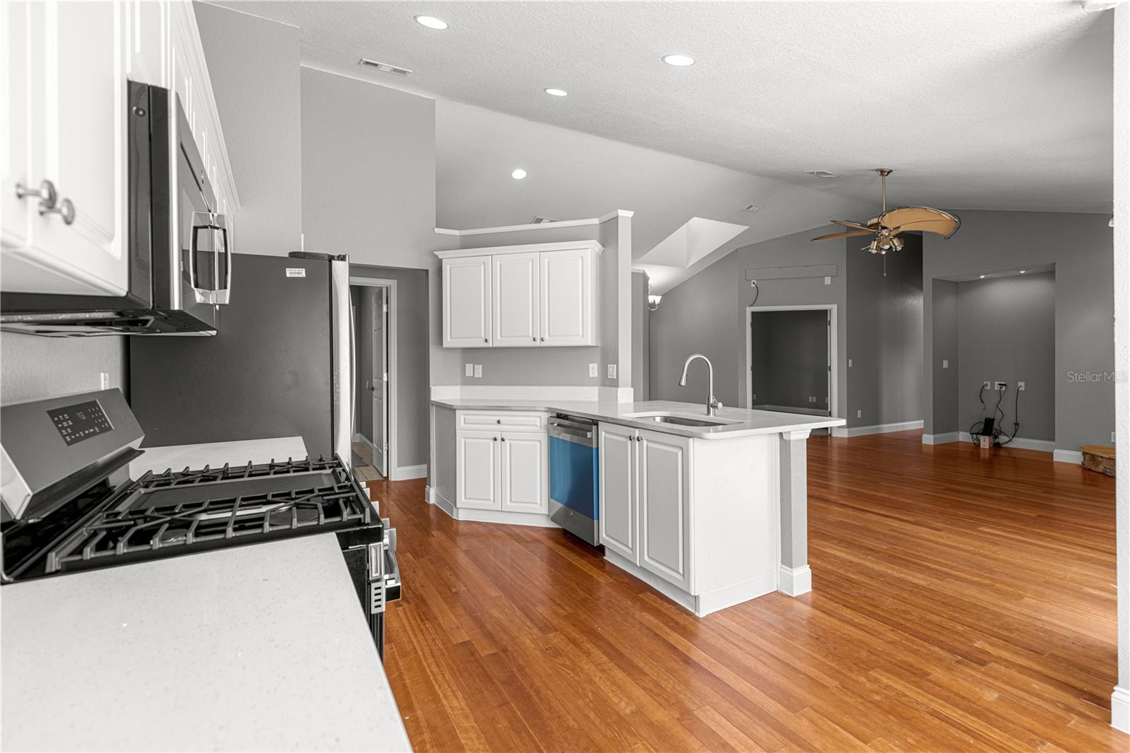 10485 SE 42ND CT, BELLEVIEW, FL, 34420