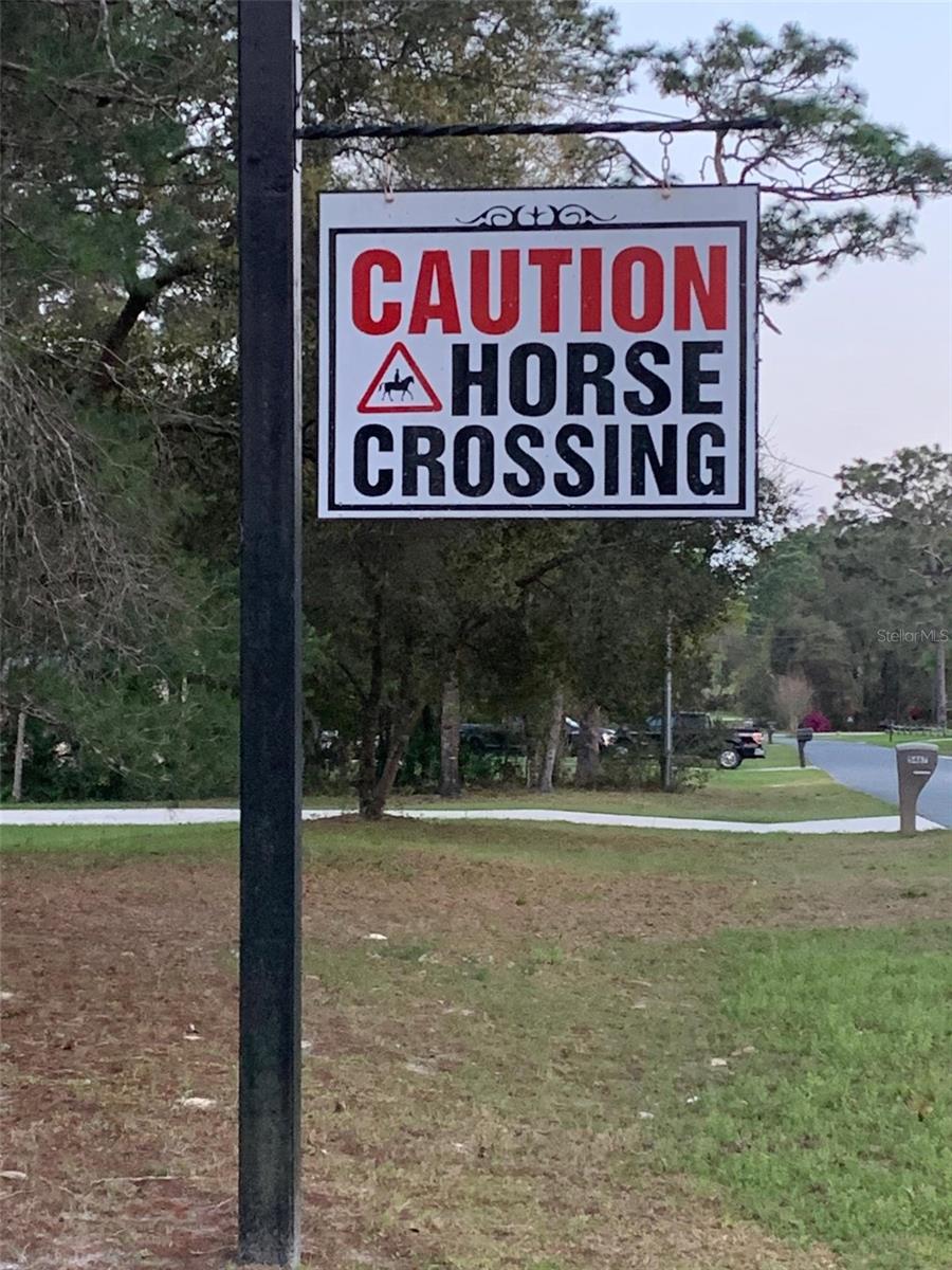 4918 W ALAMO DR, BEVERLY HILLS, FL, 34465