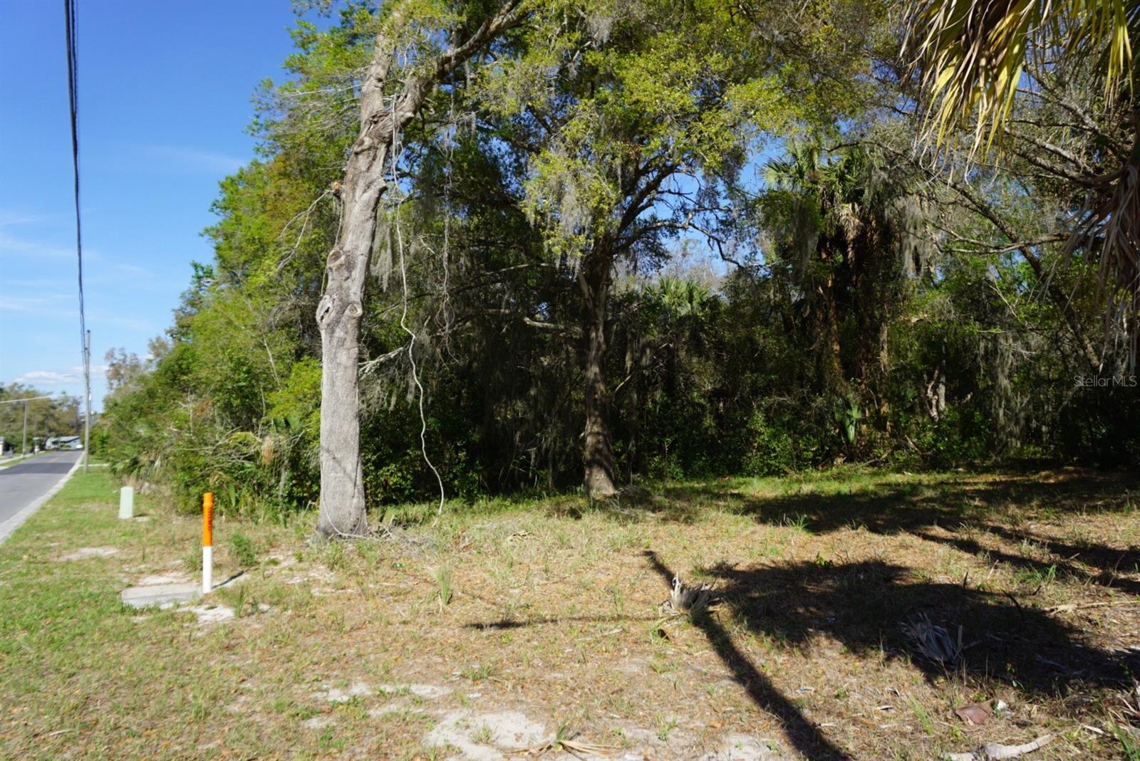 PALMETTO ST, EUSTIS, FL, 32726