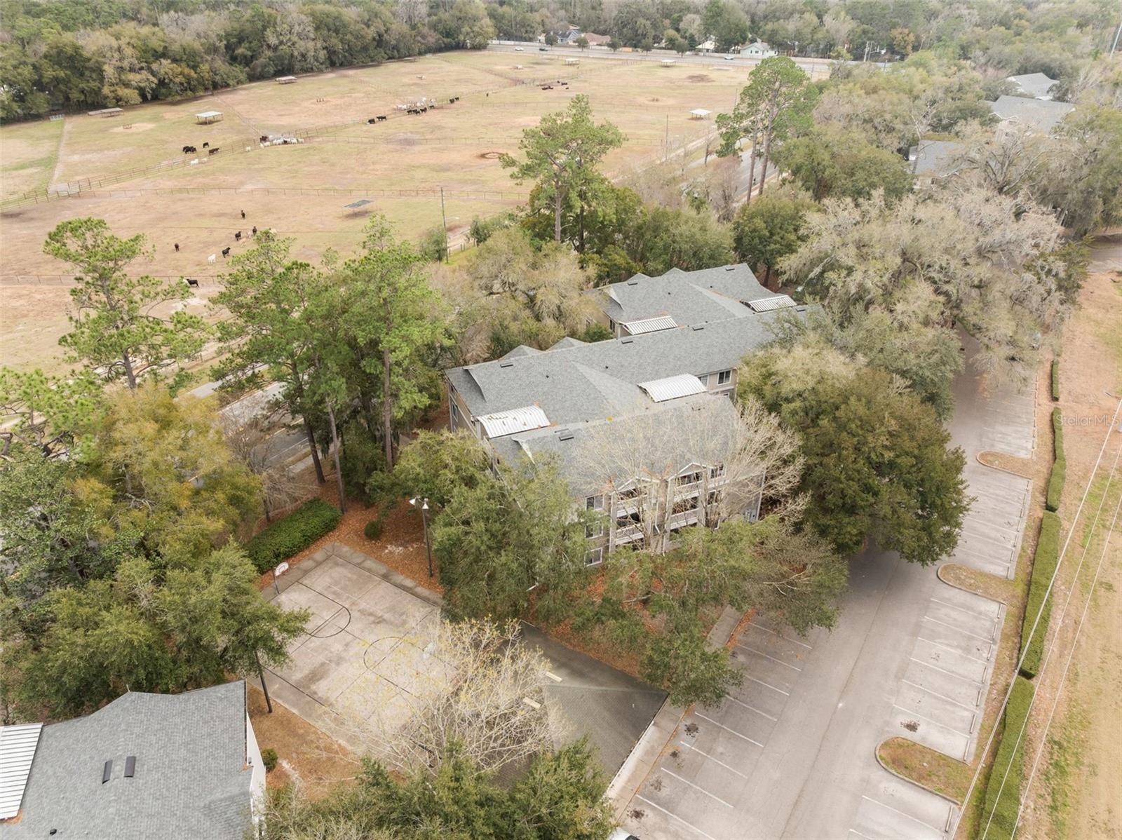 4000 SW 23RD ST #4-303, GAINESVILLE, FL, 32608