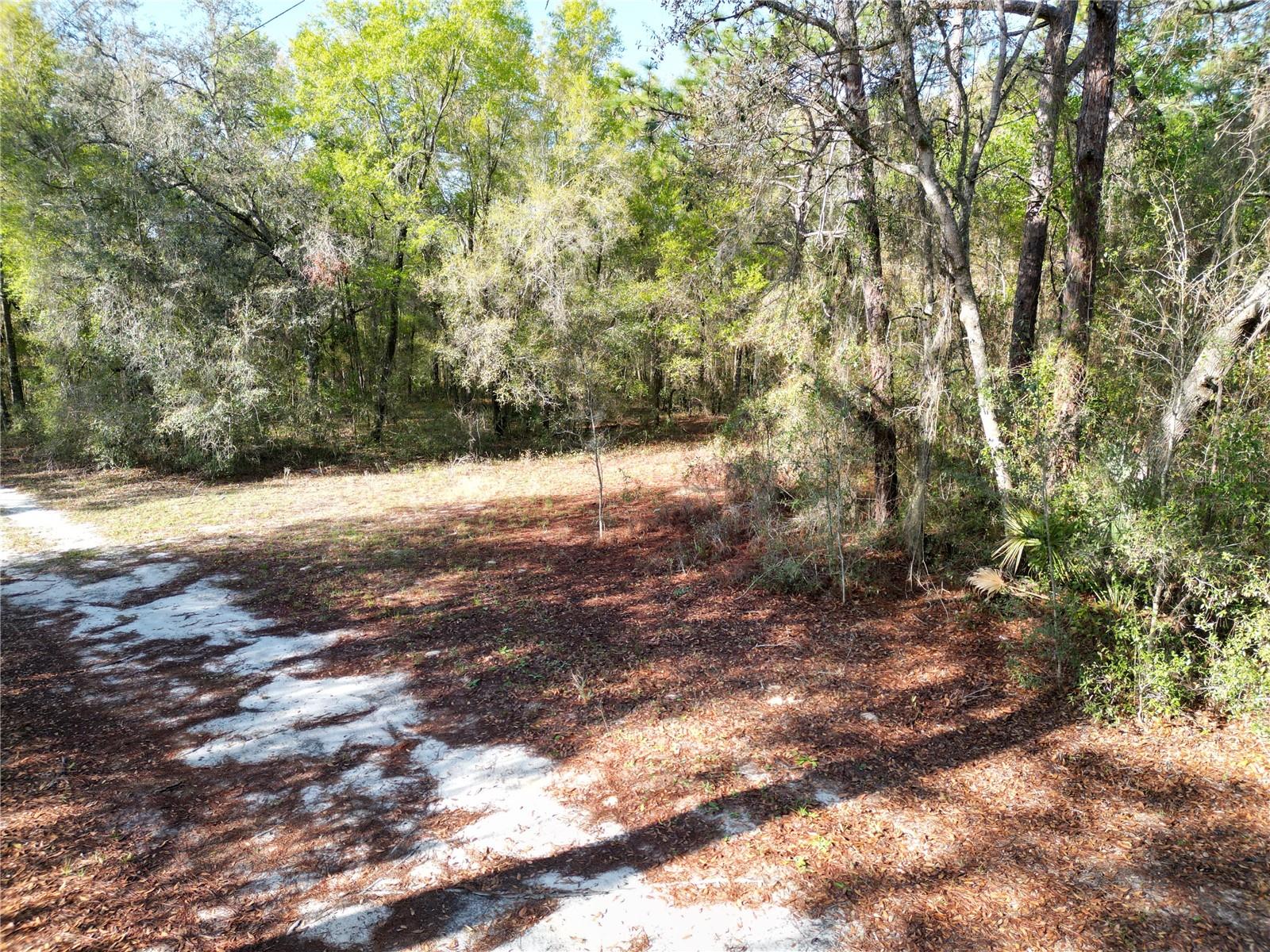 0000 E HWY 25, BELLEVIEW, FL, 34420