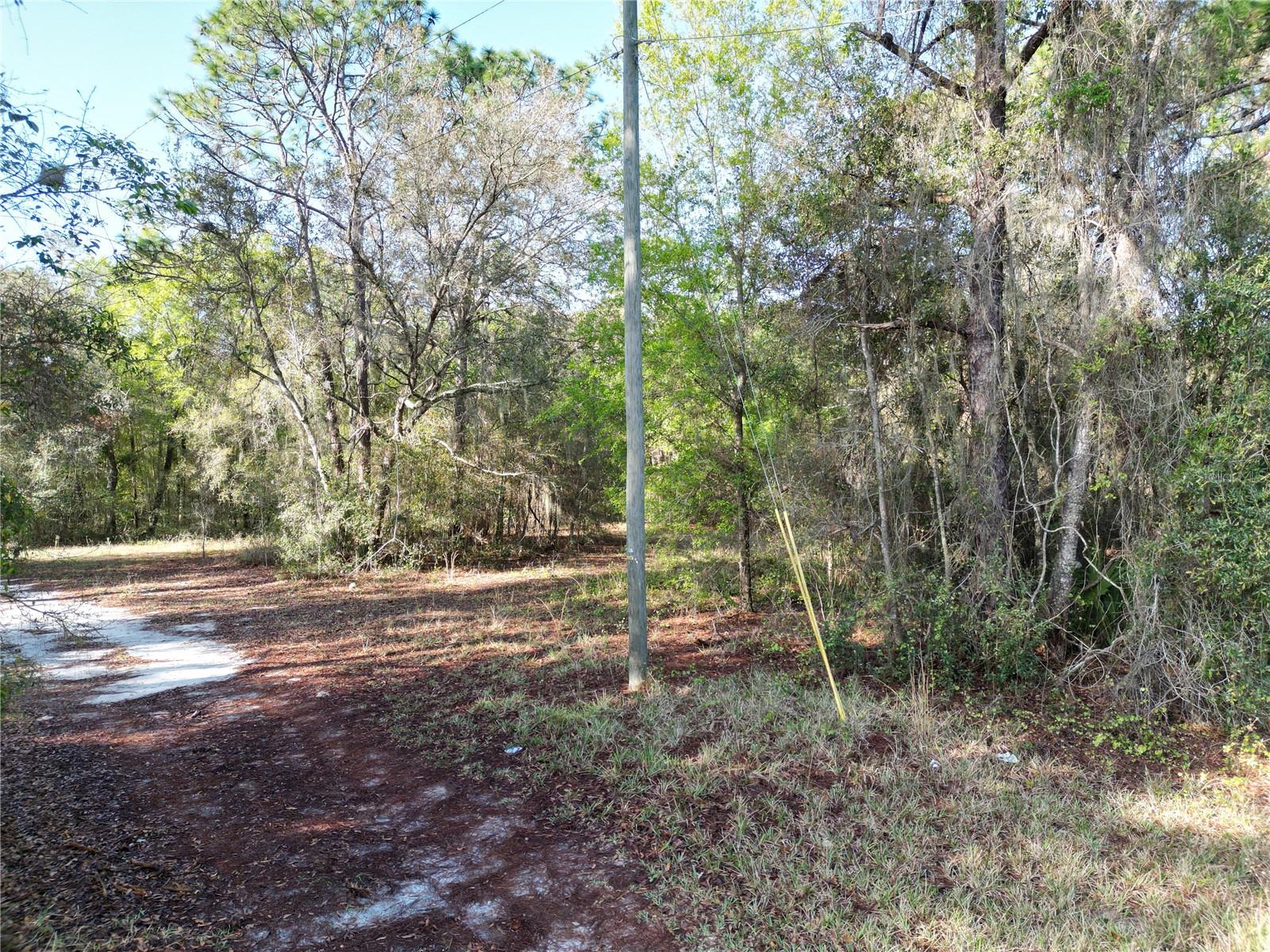 0000 E HWY 25, BELLEVIEW, FL, 34420