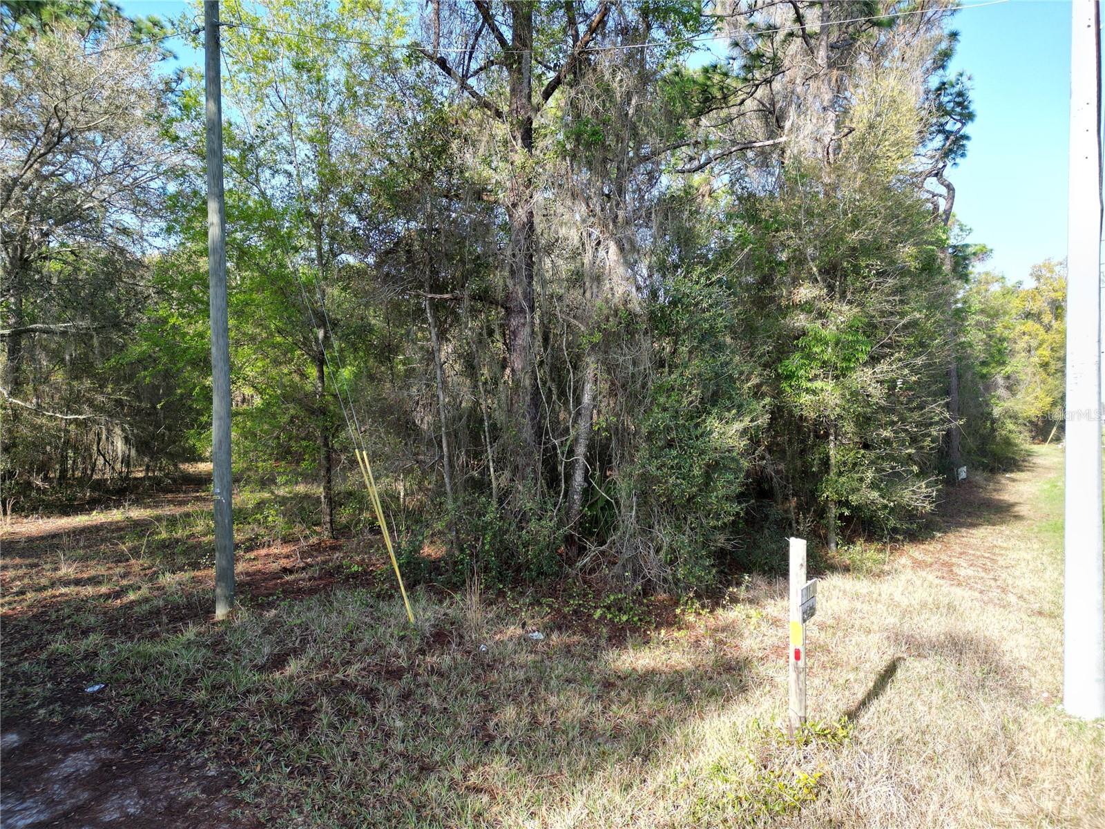 0000 E HWY 25, BELLEVIEW, FL, 34420