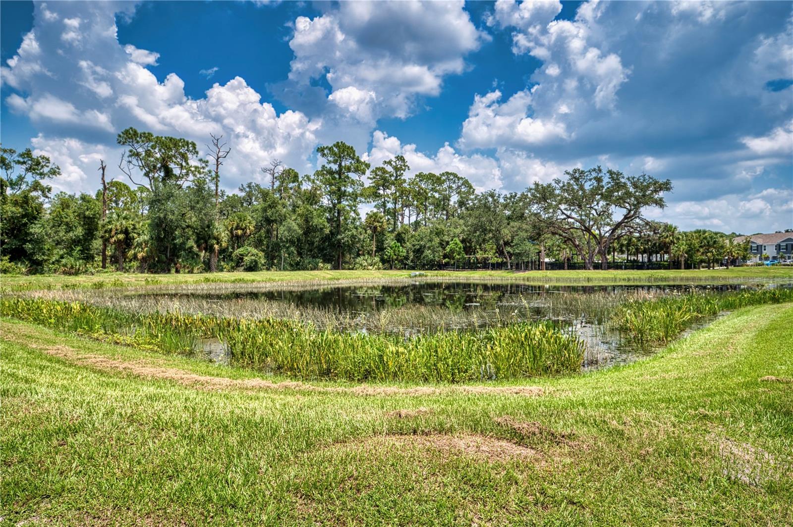 6570 CALYPSO CORAL LN, SARASOTA, FL, 34240