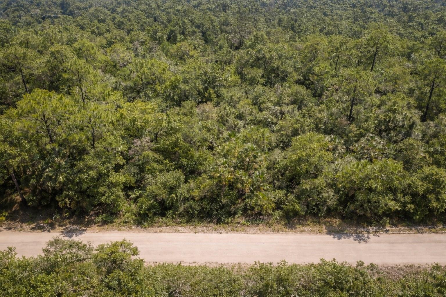 823 DURMON AVE, LAKE PLACID, FL, 33852