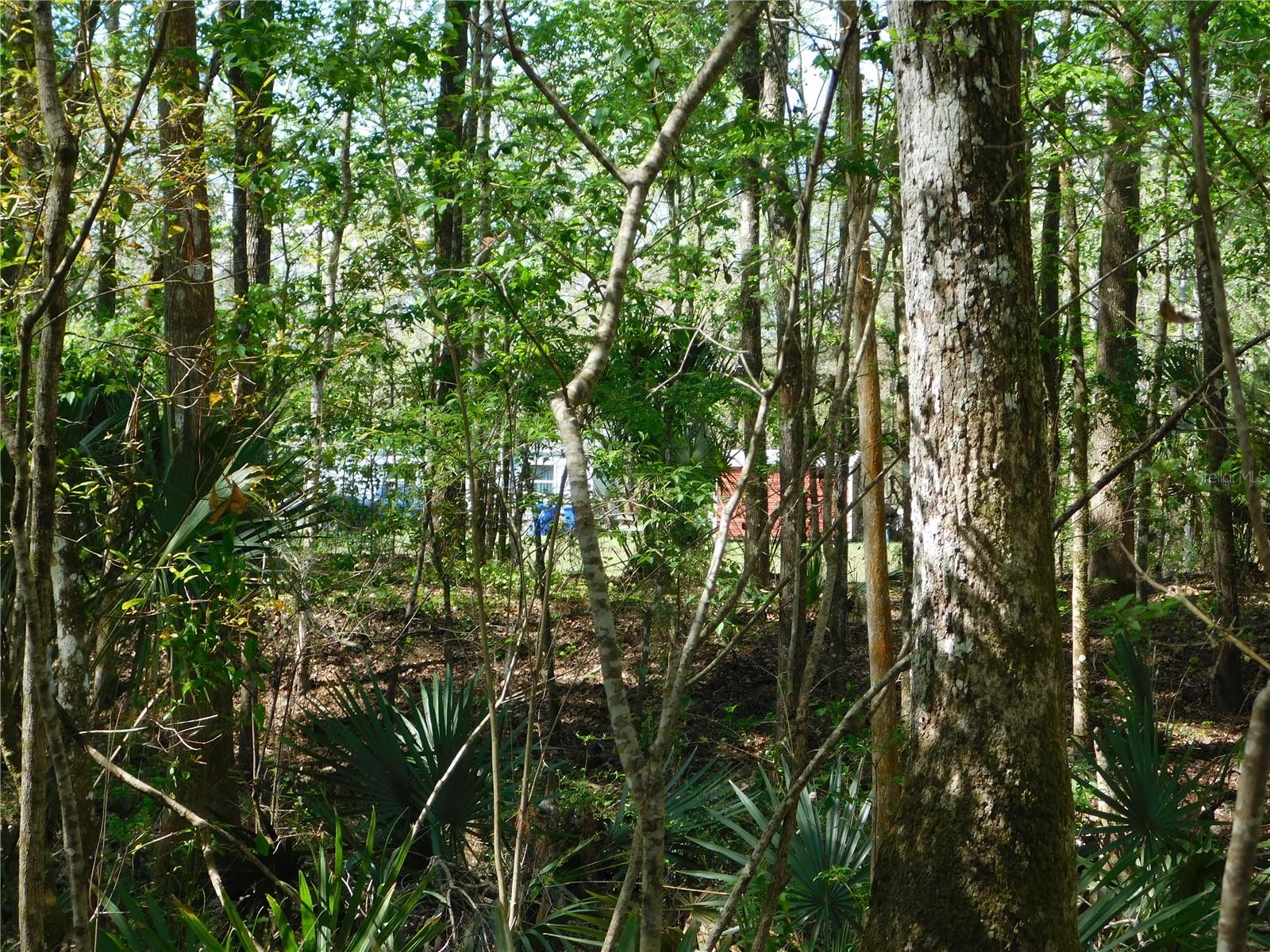 10505 E DEEP CREEK BLVD, HASTINGS, FL, 32145