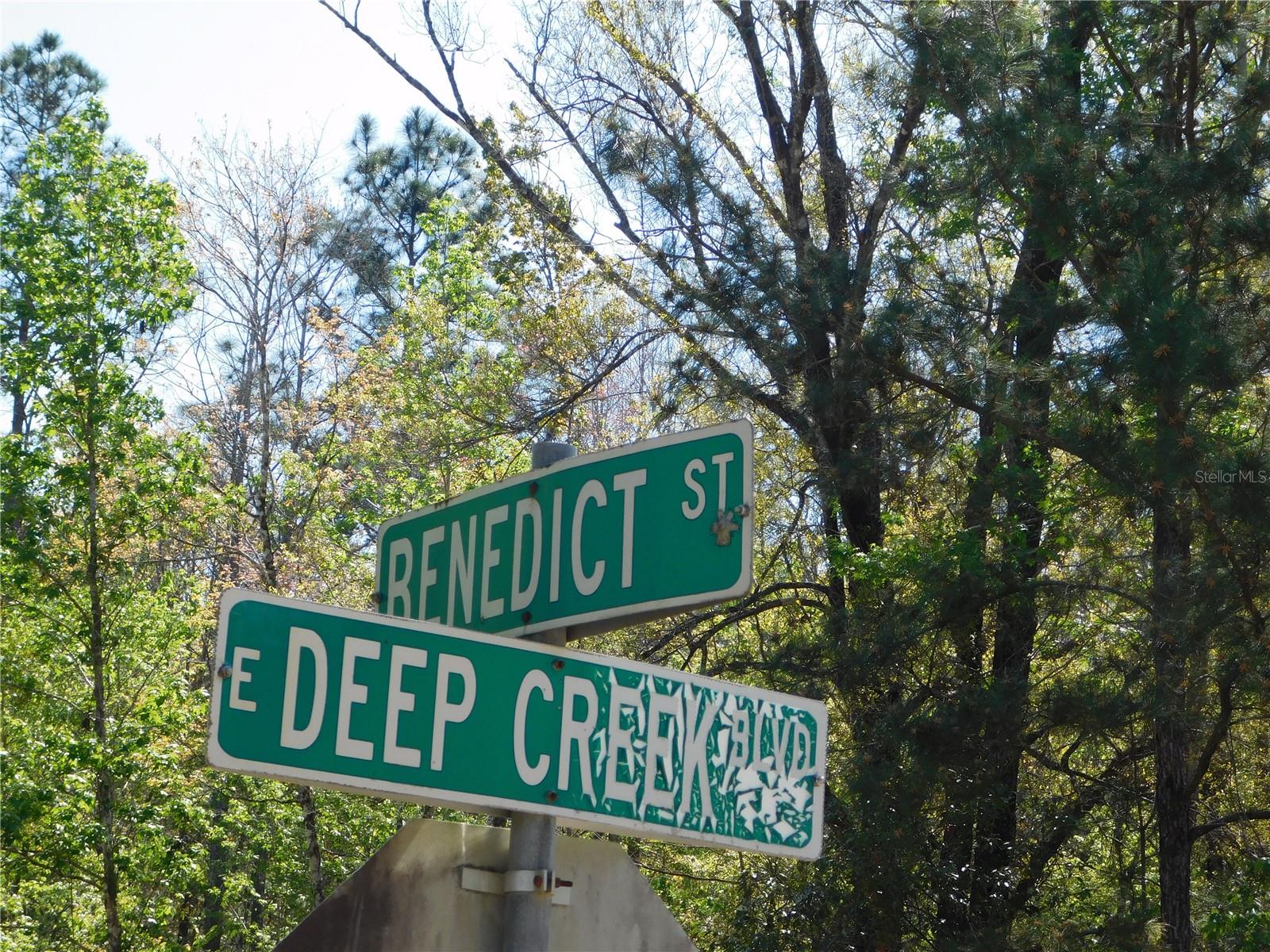 10505 E DEEP CREEK BLVD, HASTINGS, FL, 32145