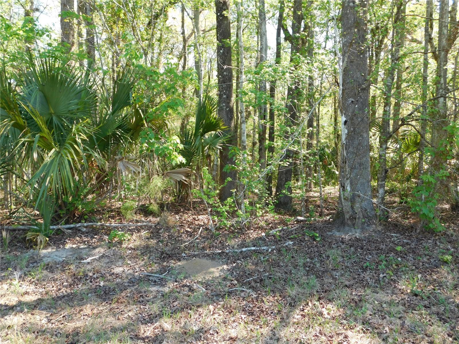 10505 E DEEP CREEK BLVD, HASTINGS, FL, 32145