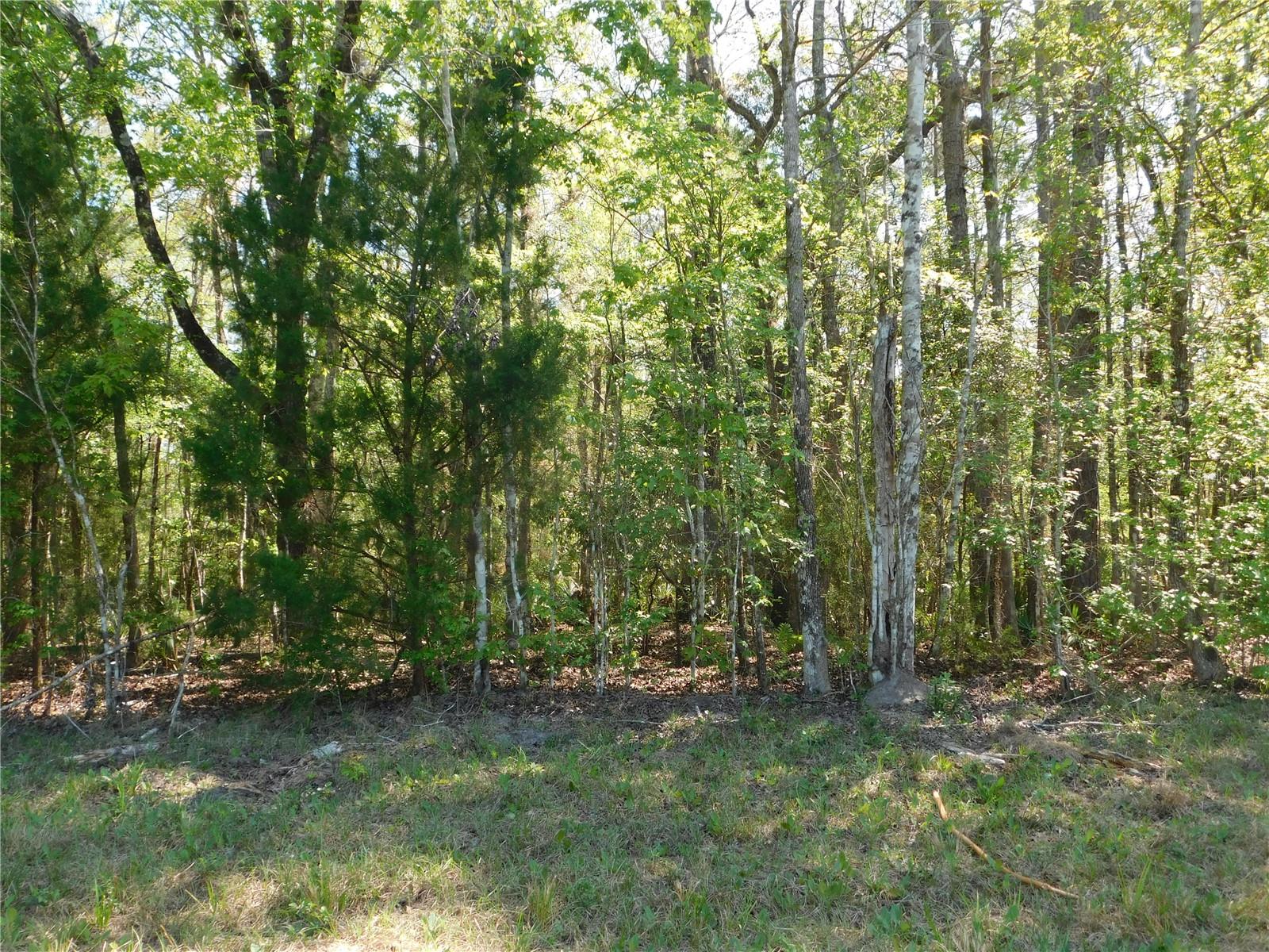 10505 E DEEP CREEK BLVD, HASTINGS, FL, 32145