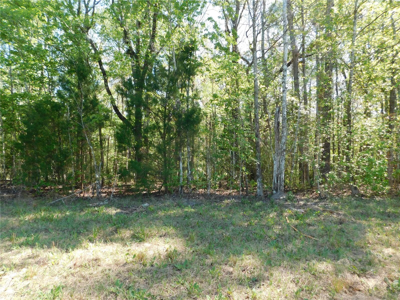 10505 E DEEP CREEK BLVD, HASTINGS, FL, 32145