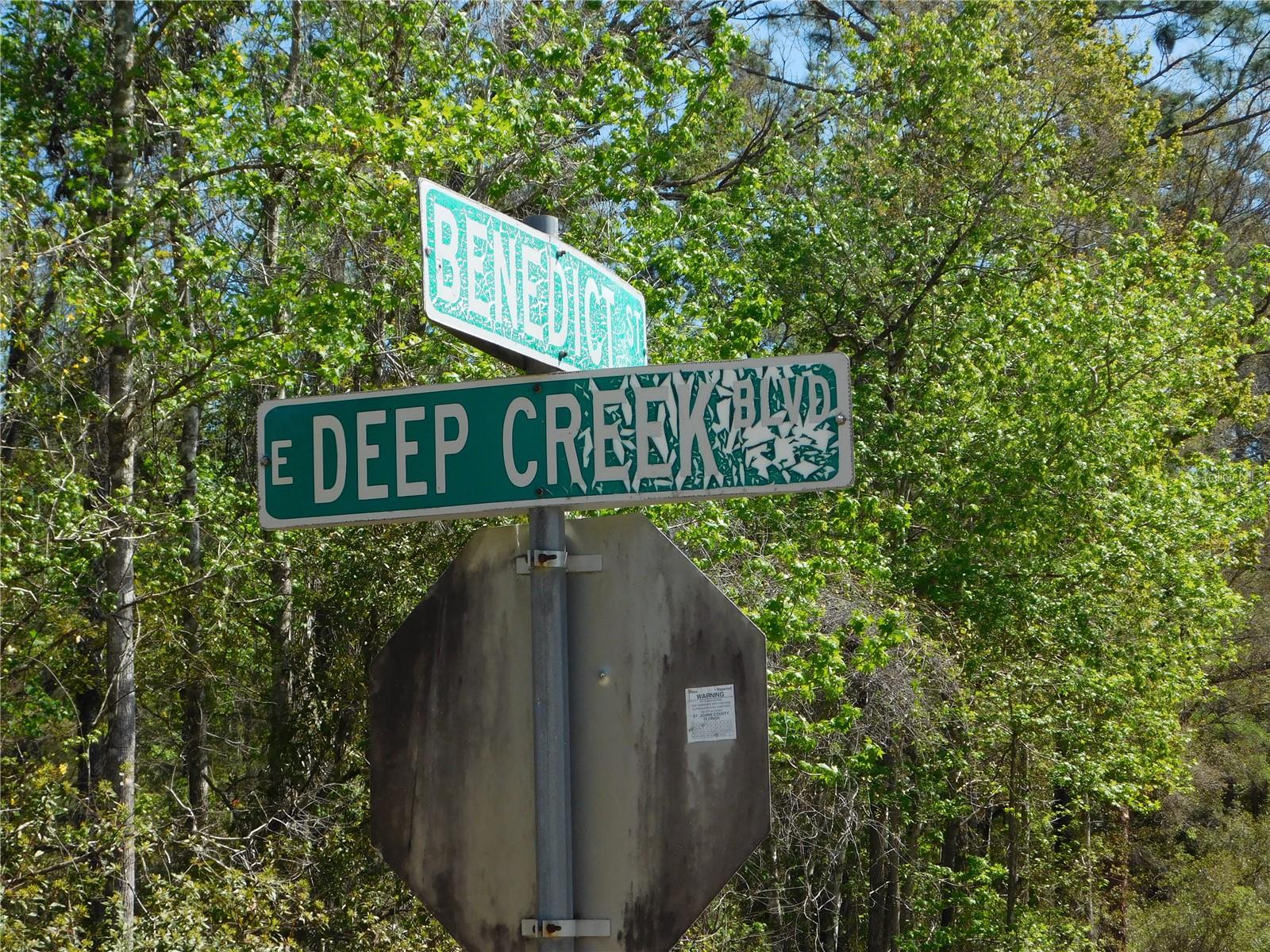 10505 E DEEP CREEK BLVD, HASTINGS, FL, 32145