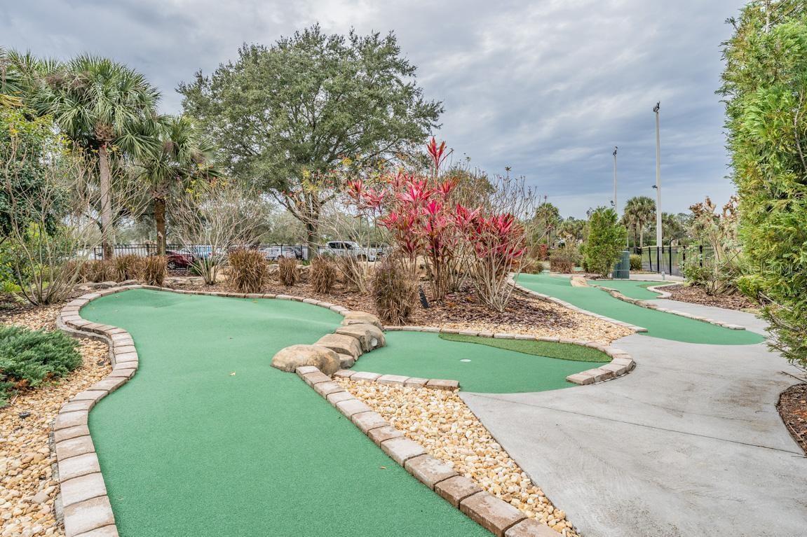 23626 ABERCORN LN, LAND O LAKES, FL, 34639